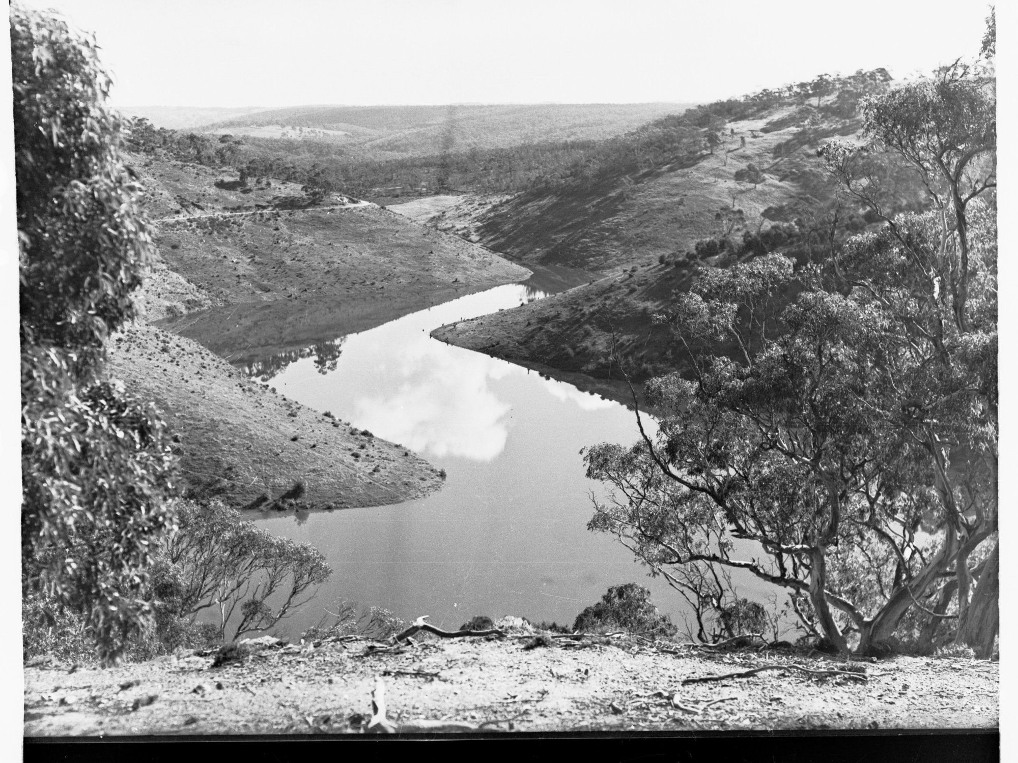 View at Mount Bold