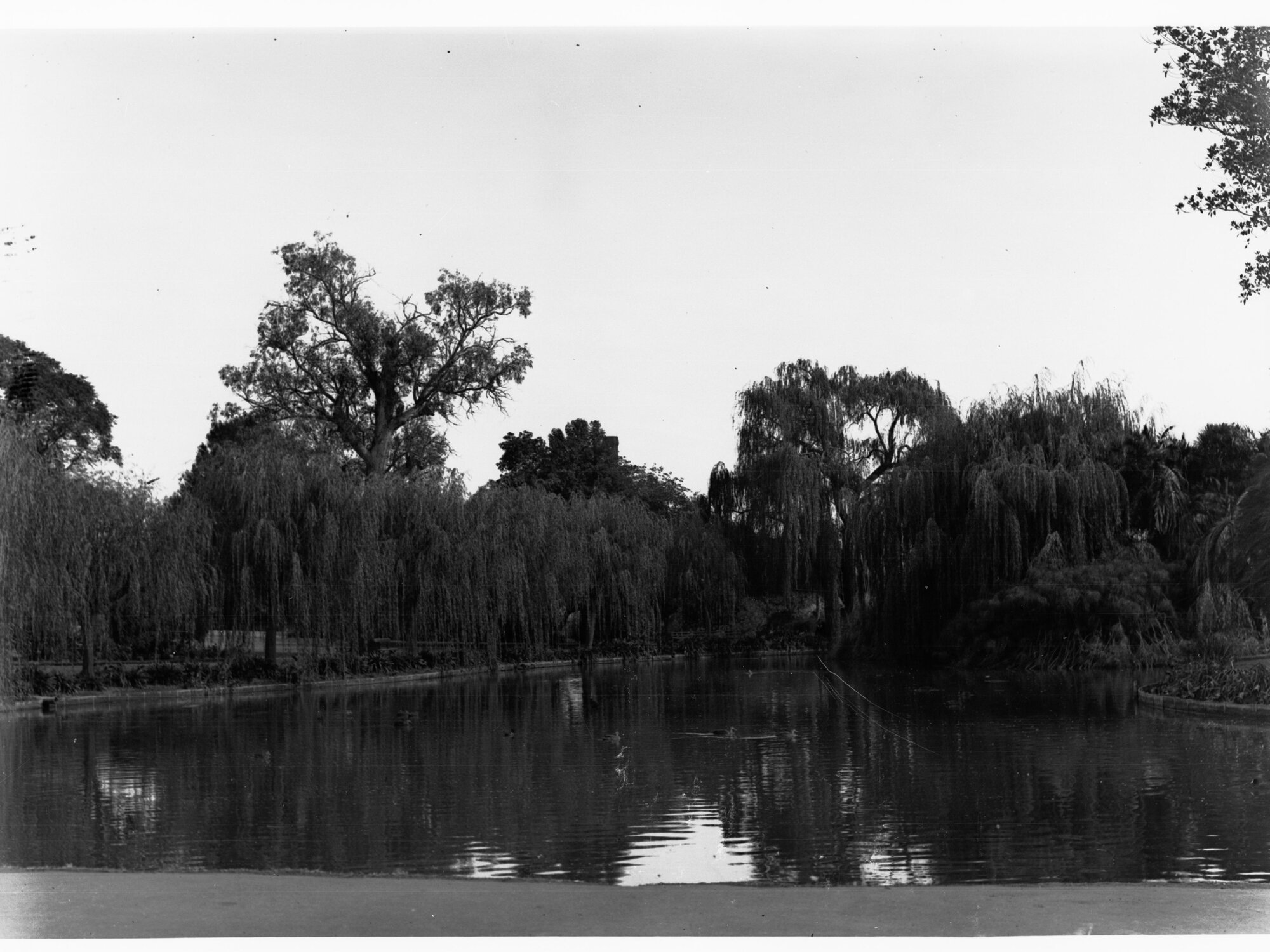 Botanic Gardens