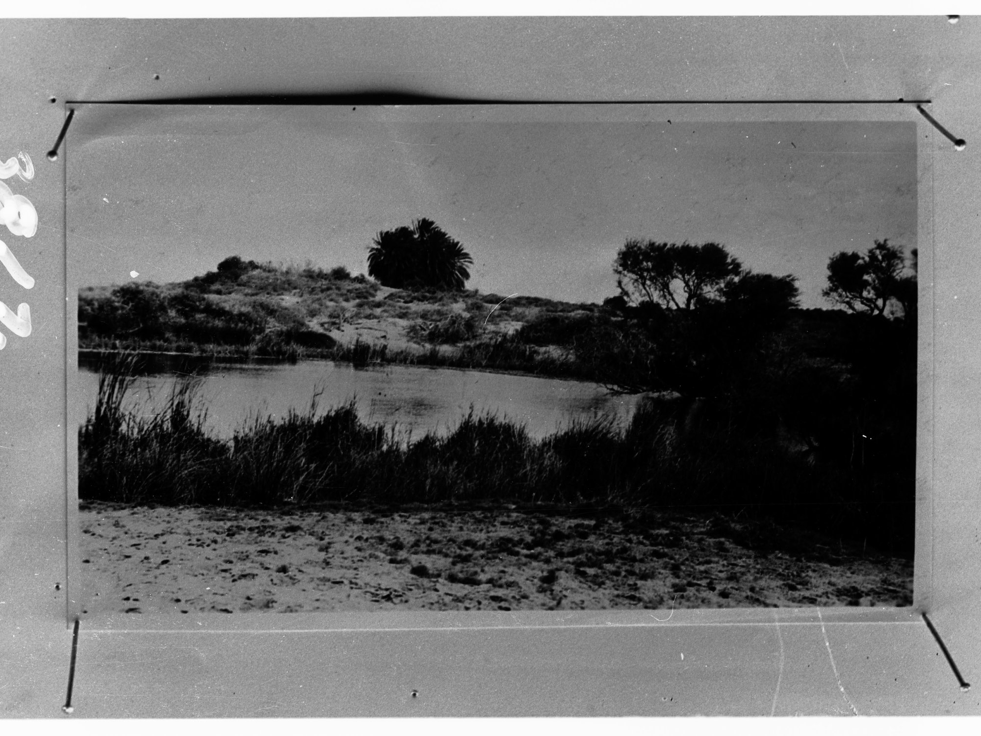 River, showing bushland and trees - no information recorded