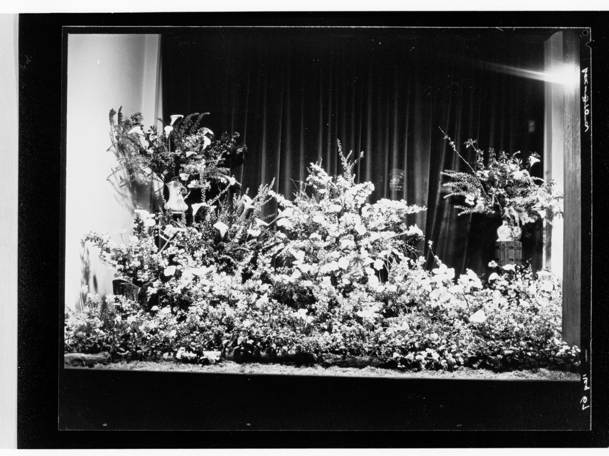Flower day - Photo of floral display