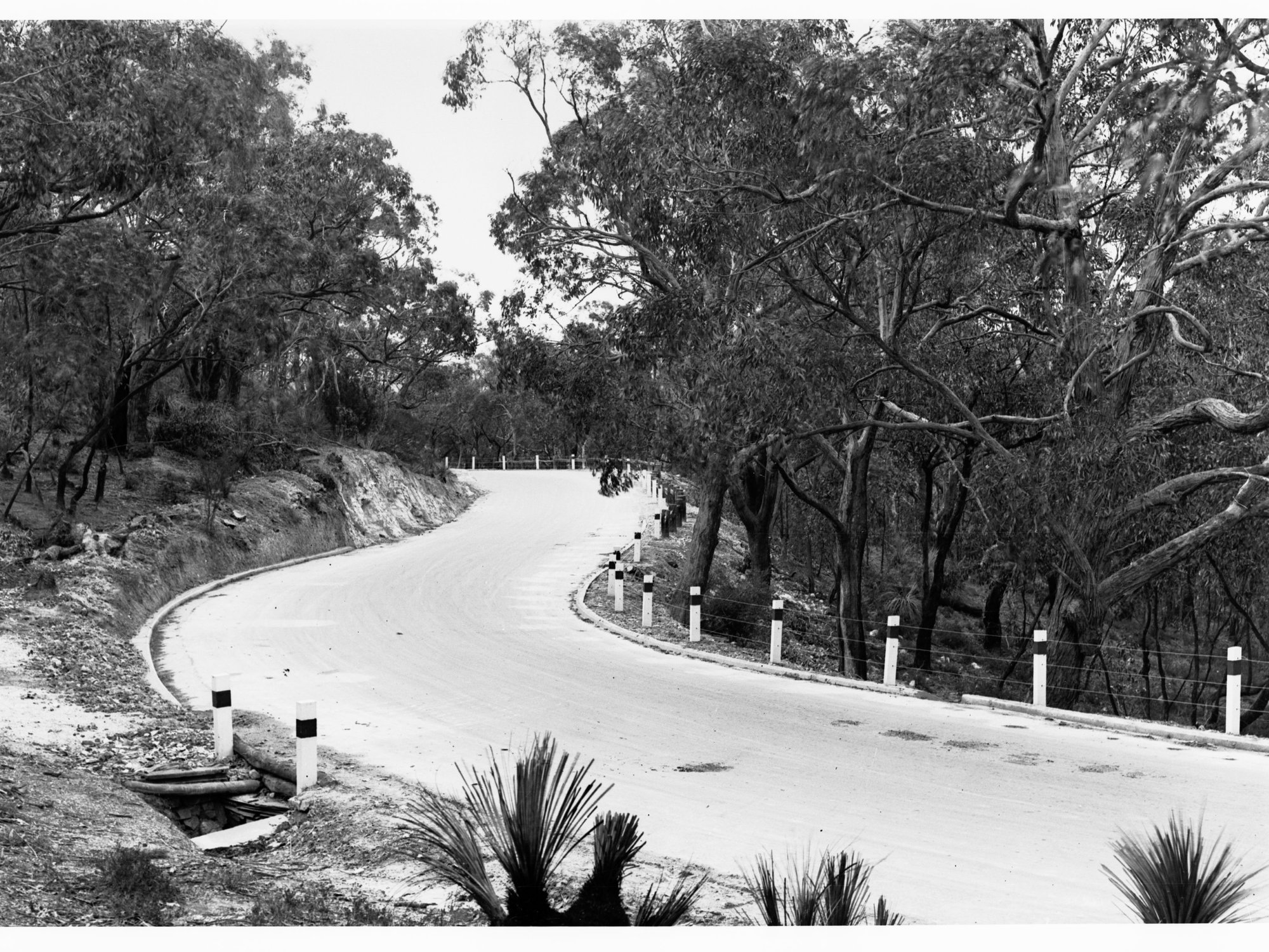 Road at Willunga Hill