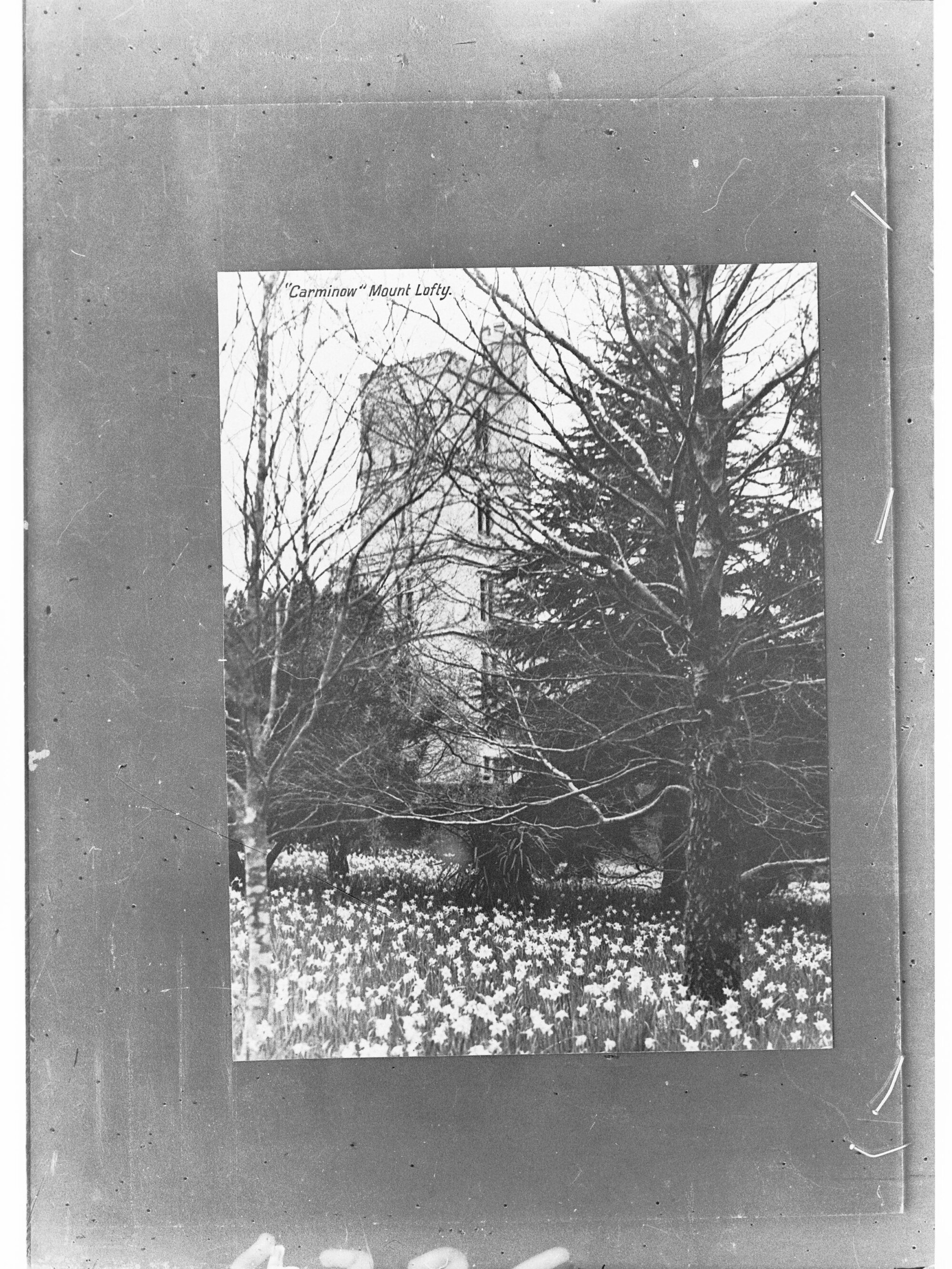 Carminow at Mount Lofty