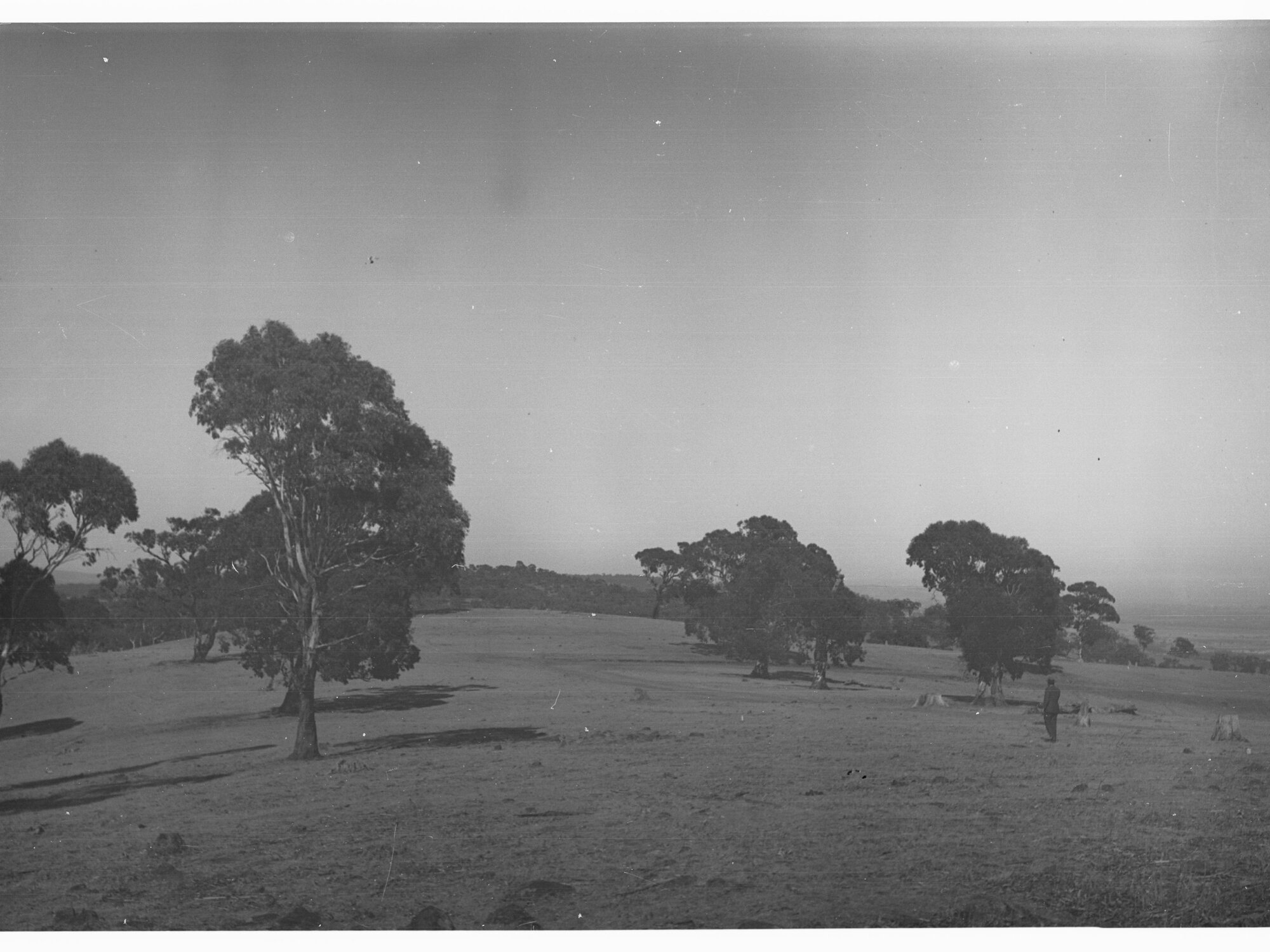 Mount Osmond golf links
