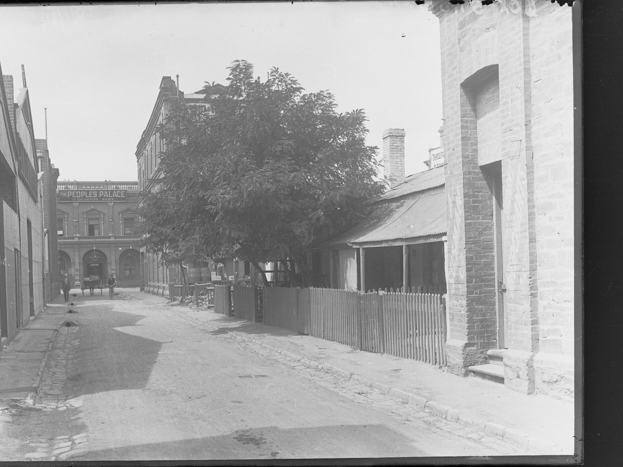 Cottages, Chesser St, Adelaide c1914