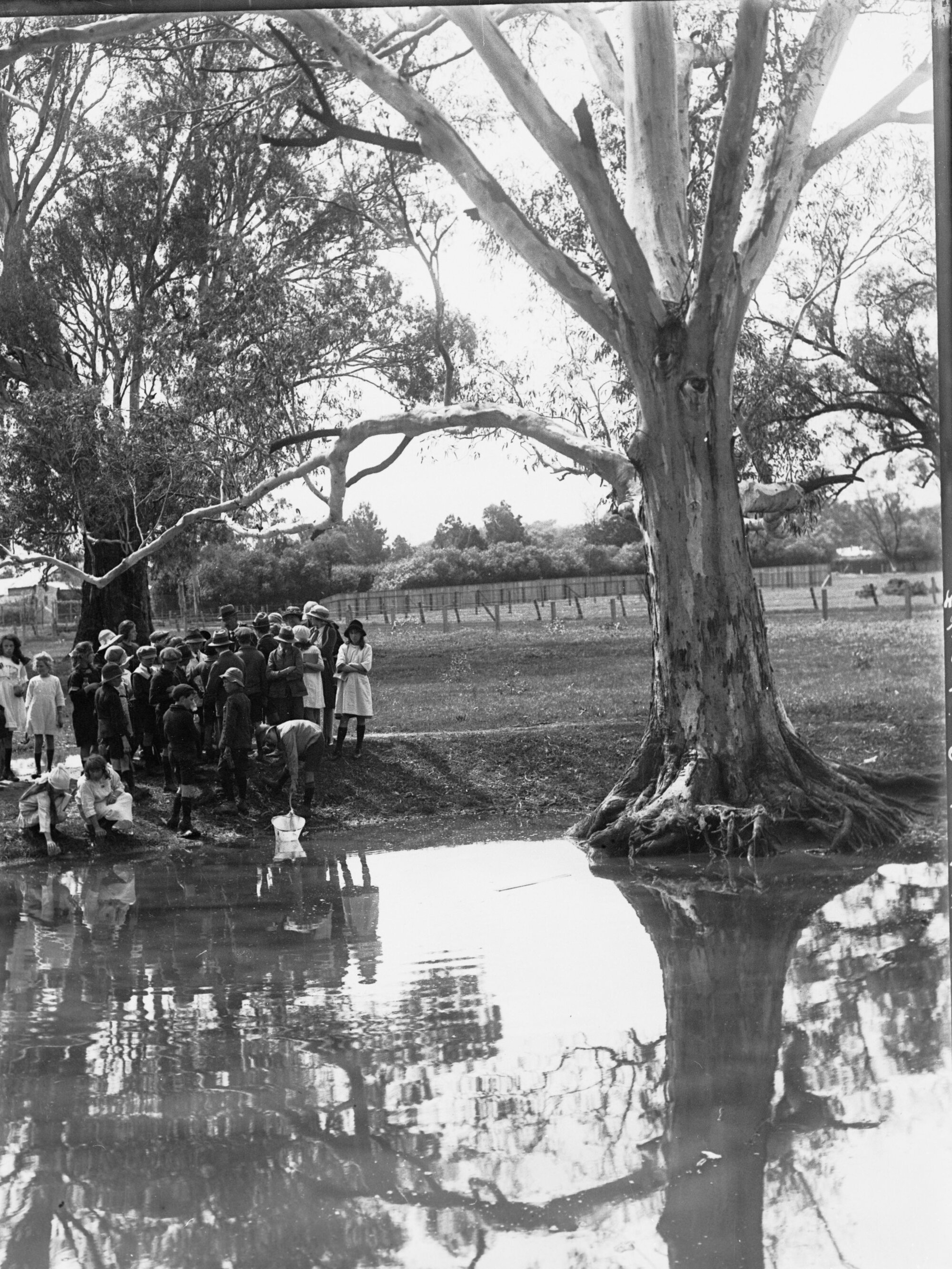 Children on school excursion 