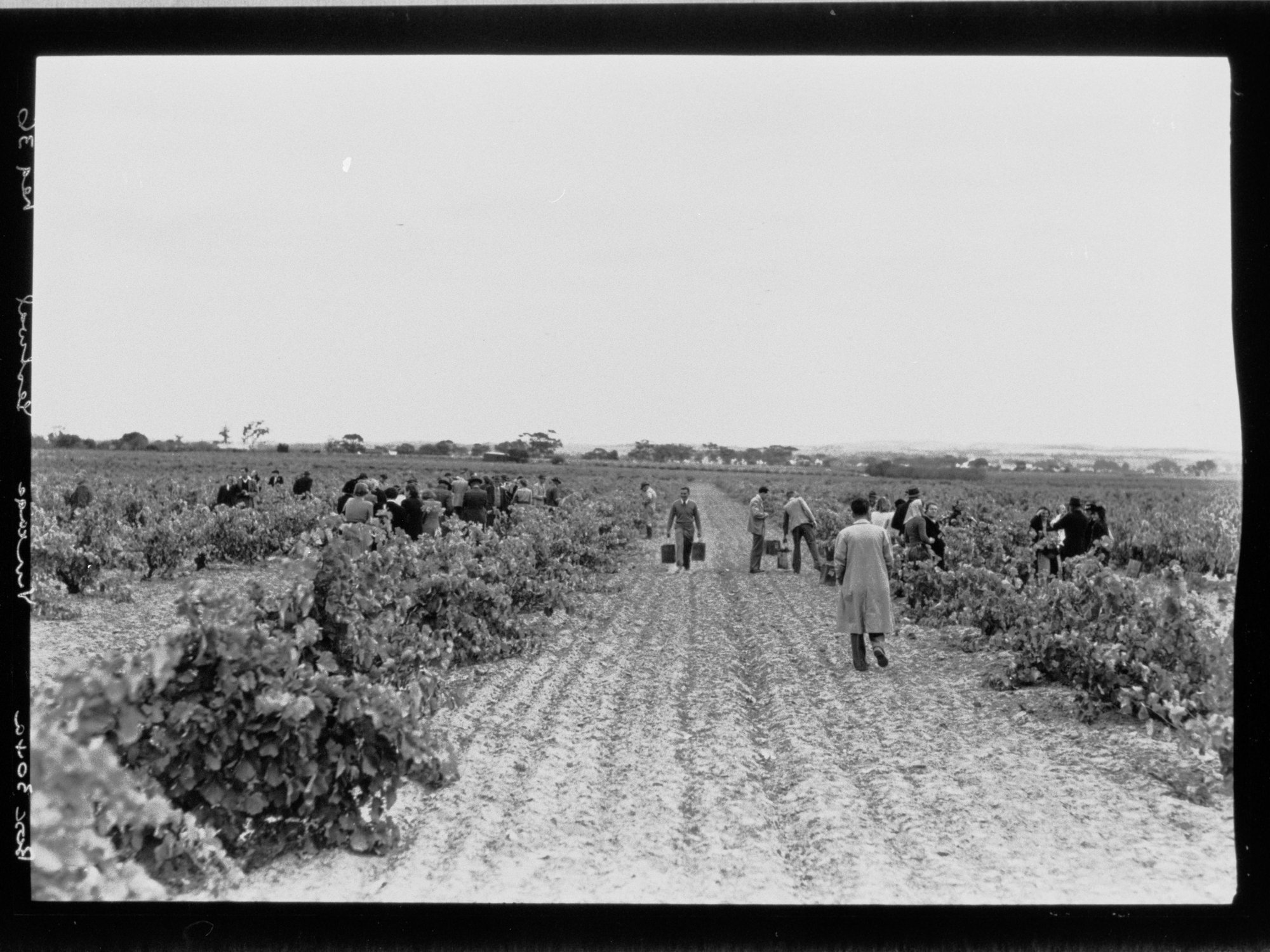 Barossa Vintage Festival at Nuriootpa, 23rd April 1949