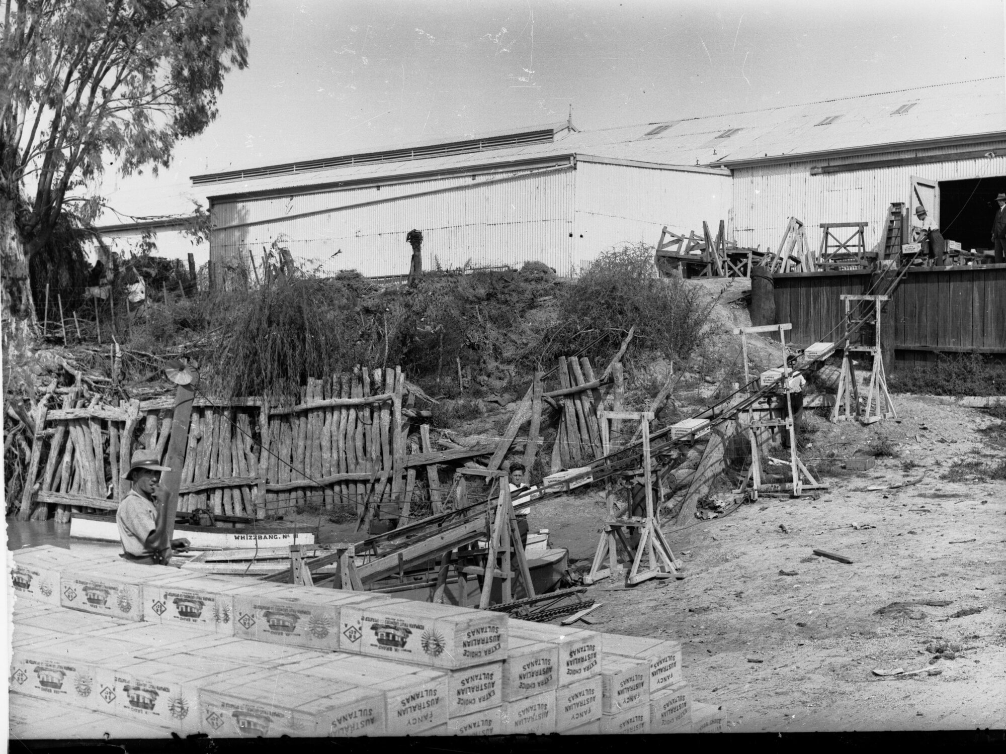 River Murray, shipping dried fruit at Renmark