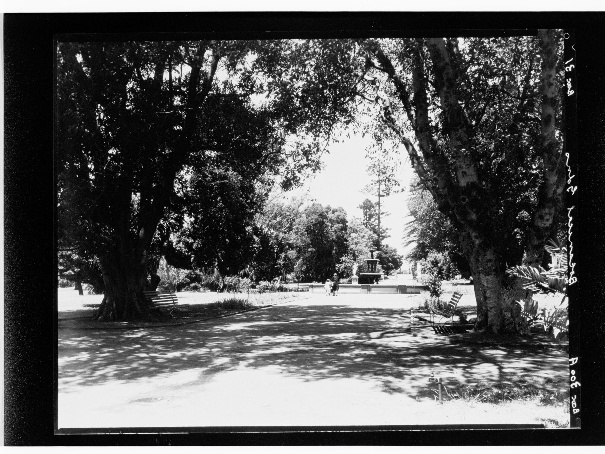 Botanical Gardens