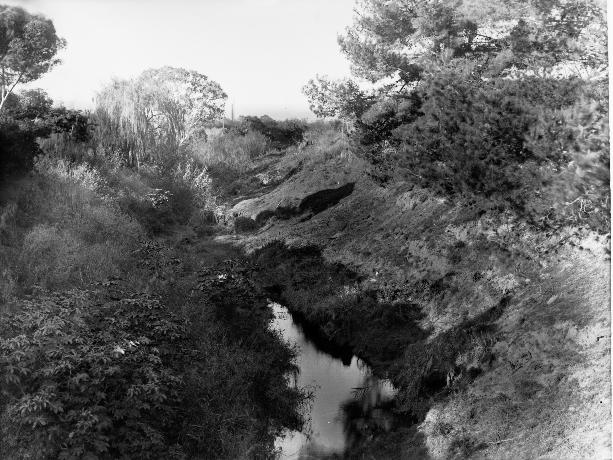 Torrens floodwater scheme