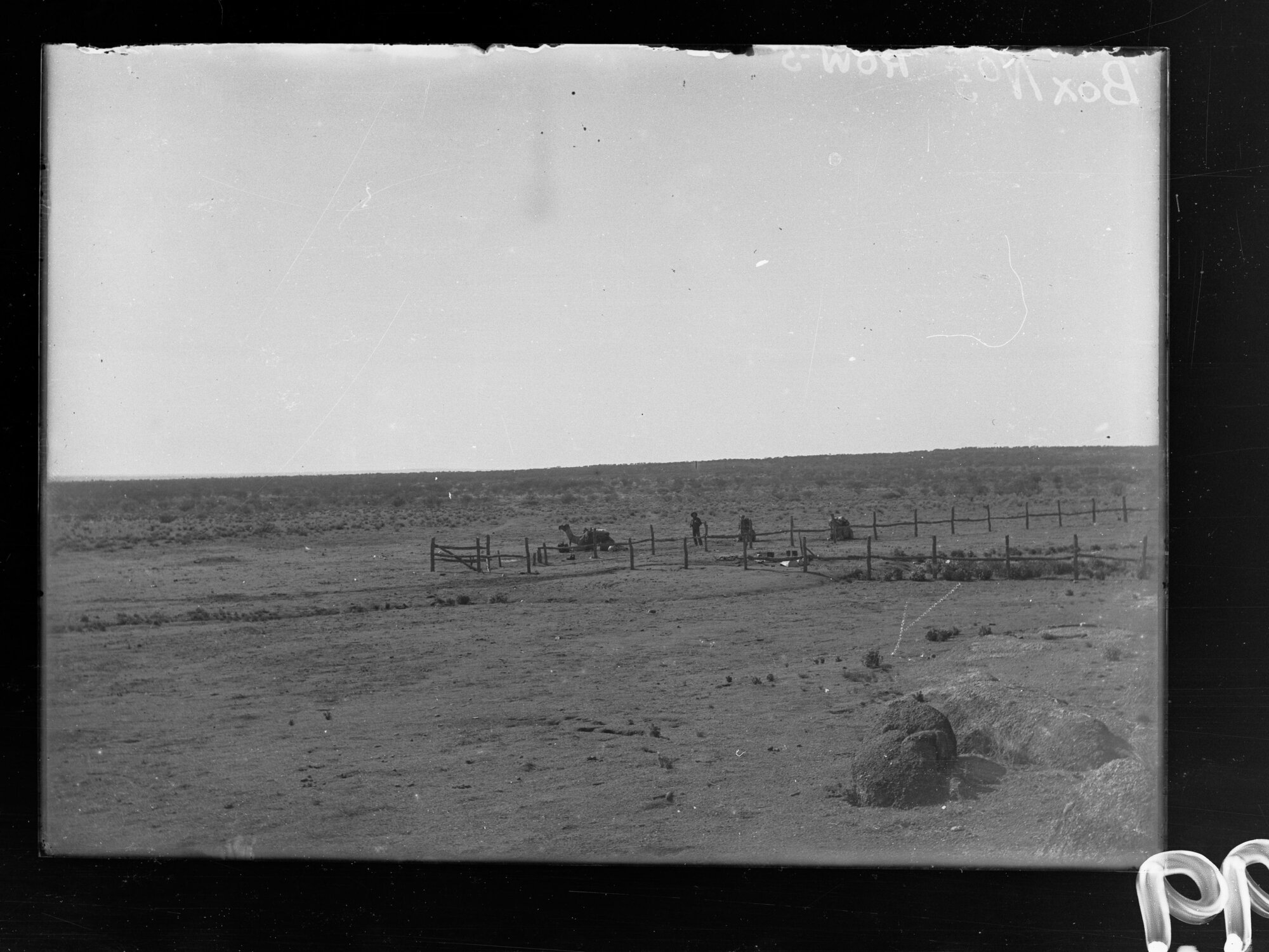 Camels, construction of East West Railway Line