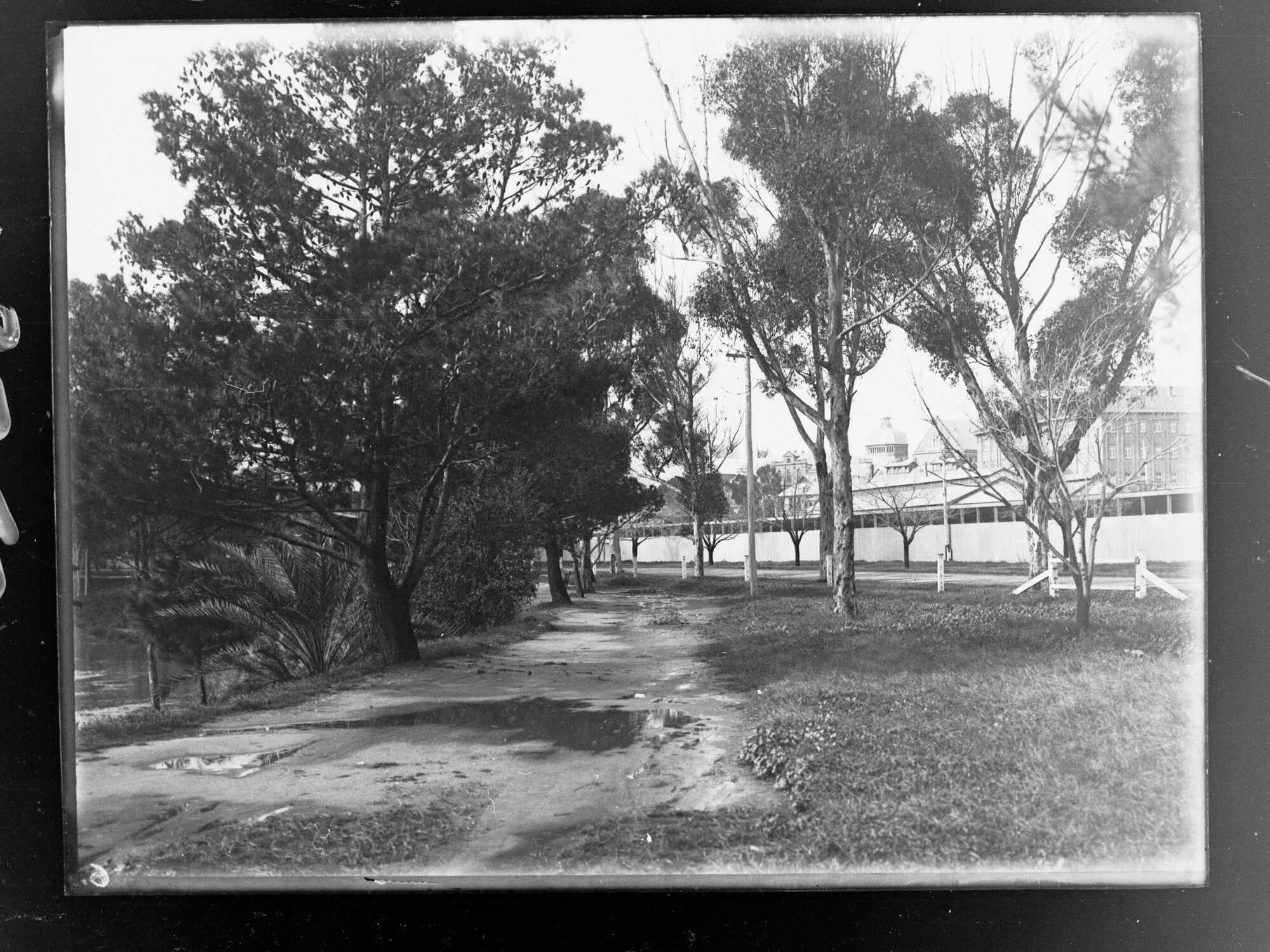 Road in Botanic Park, Agricultural showgrounds .Jubilee Exhibition Building dome in centre of picture.