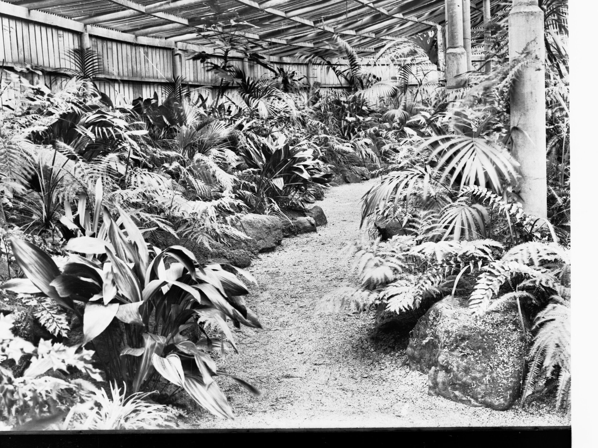 Simpson Shade House Botanic Gardens Adelaide