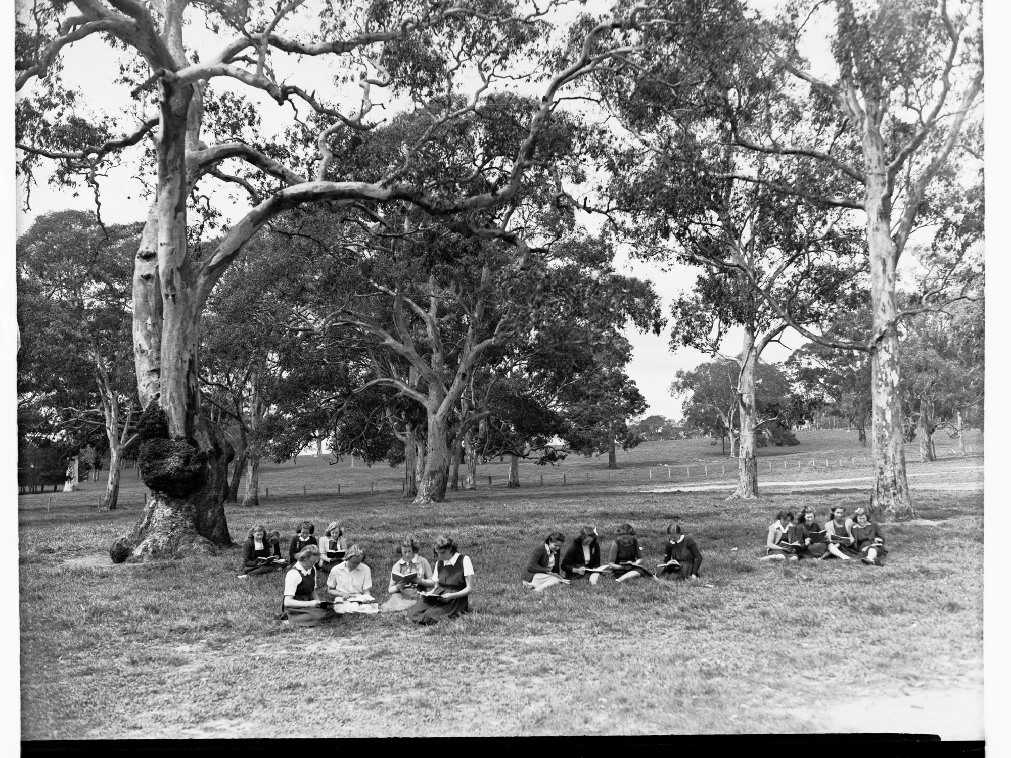 Girls on Oval Reading at Oakbank Area School