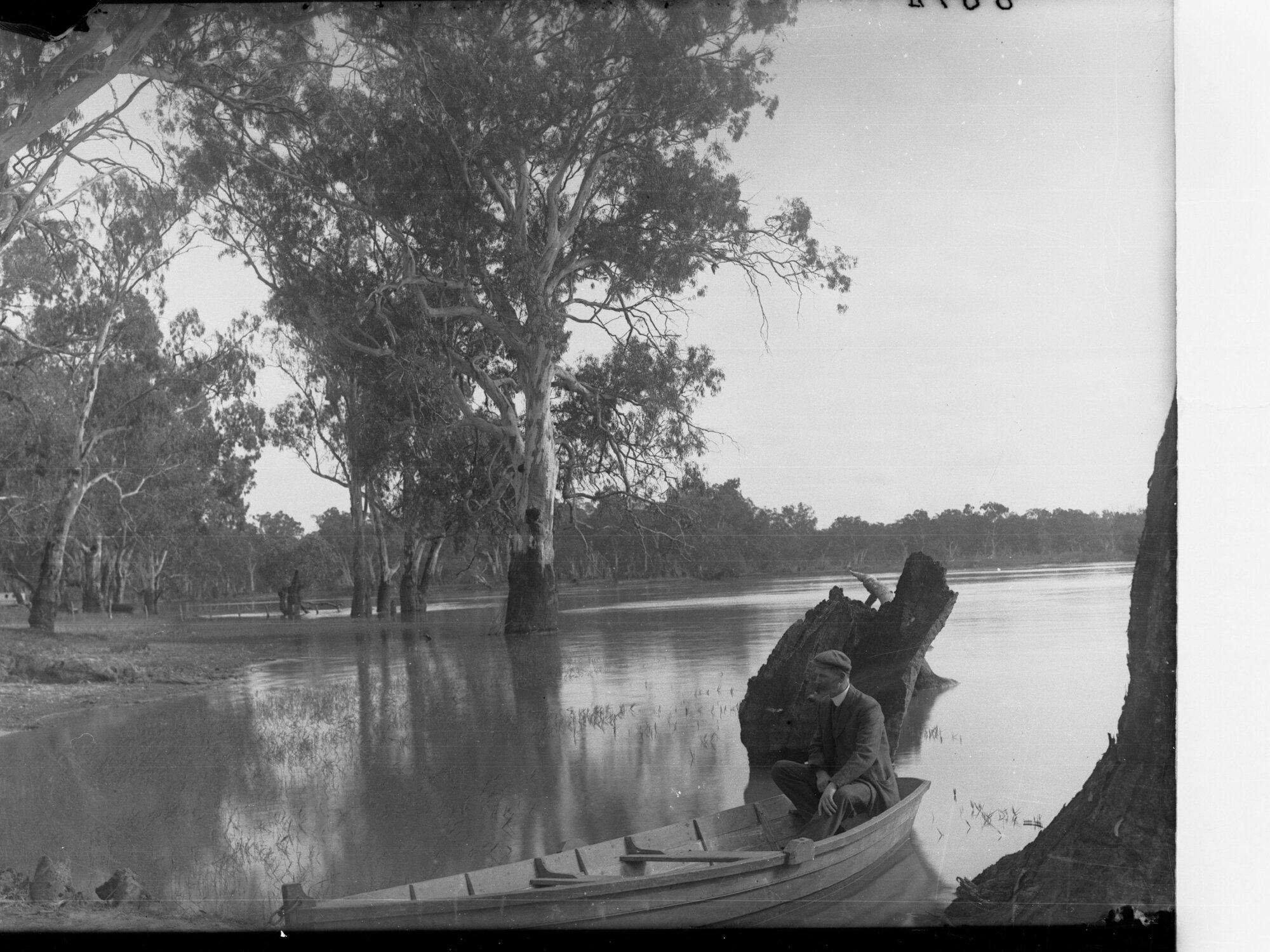 Man in rowboat on River Murray