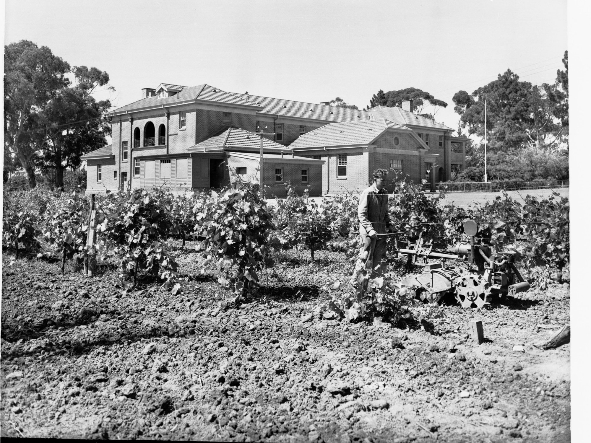 Urrbrae Agricultural High School