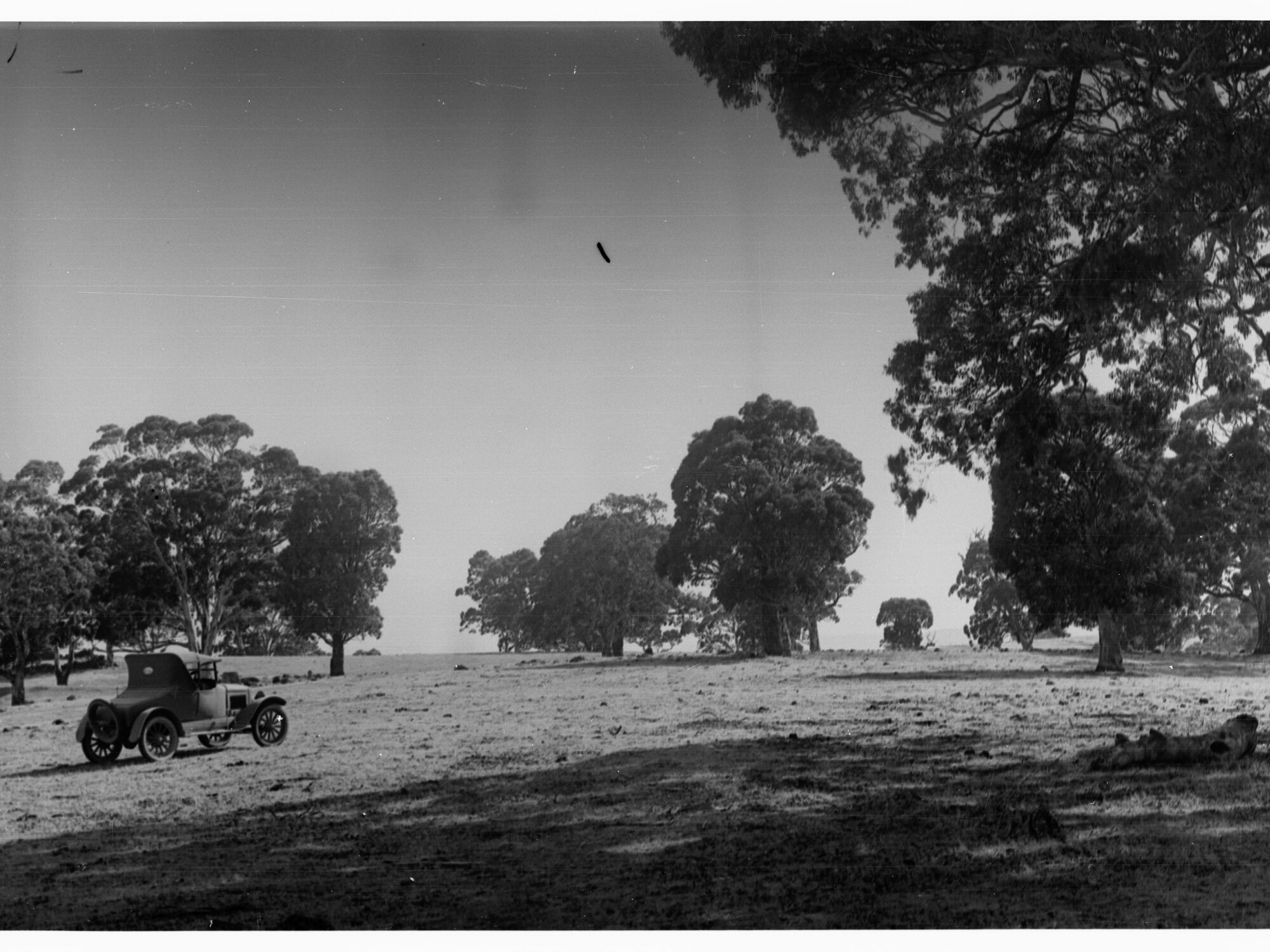 Mount Osmond golf links showing automobile