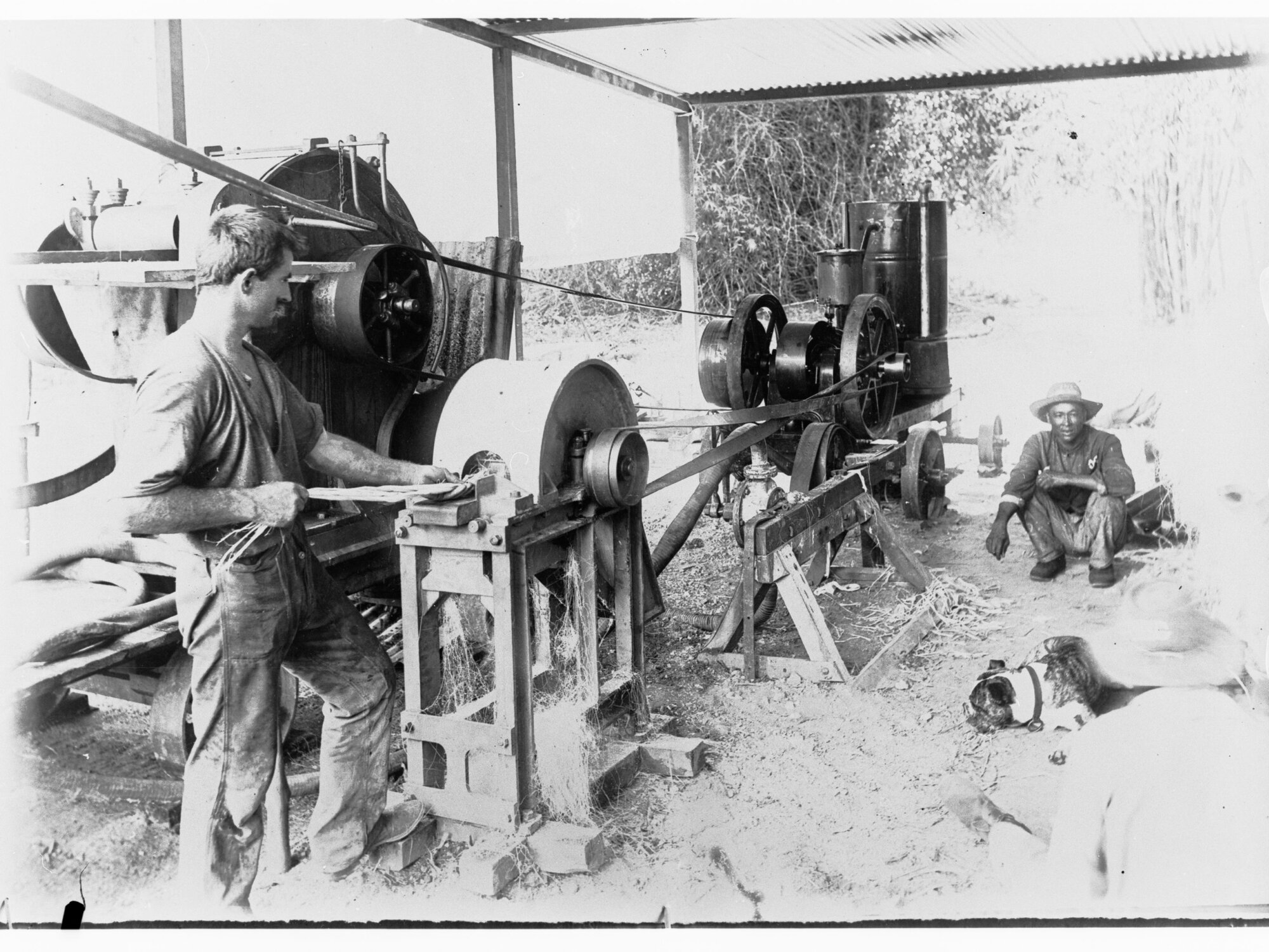 Sisal hemp machinery at Botanical Gardens, Palmerston - Northern Territory