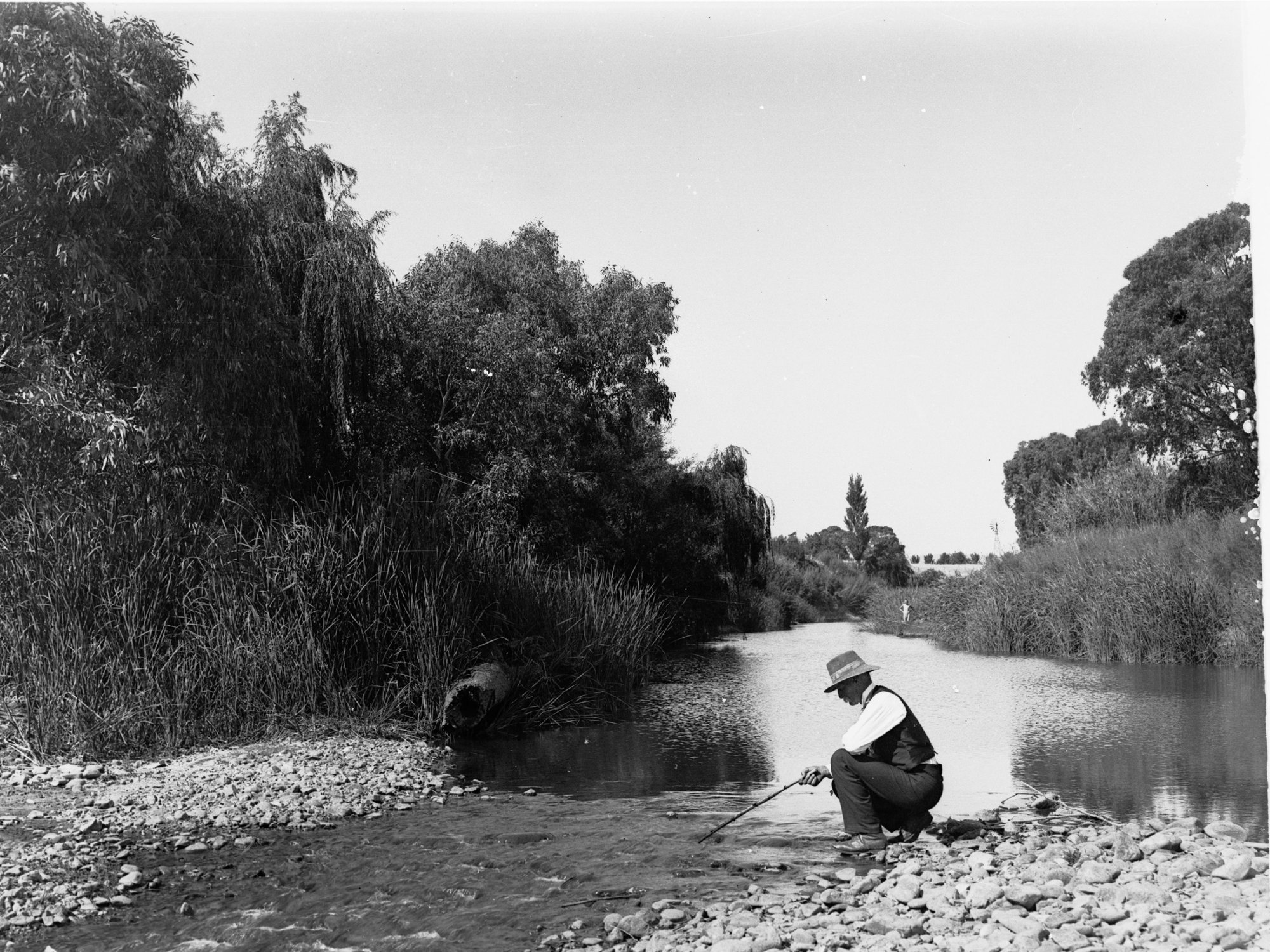 River Torrens view near Paradise with man kneeling on river bank
