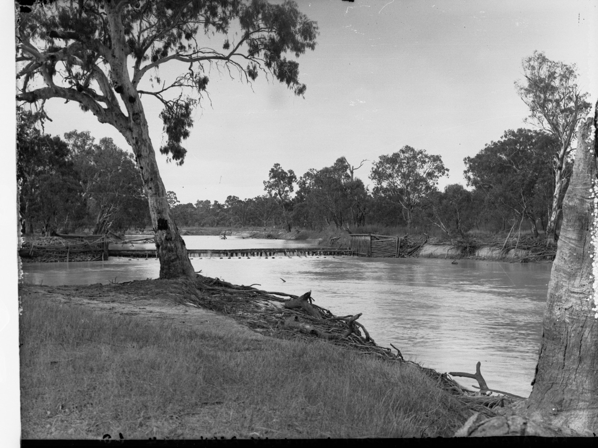 Katarapko Creek River Murray