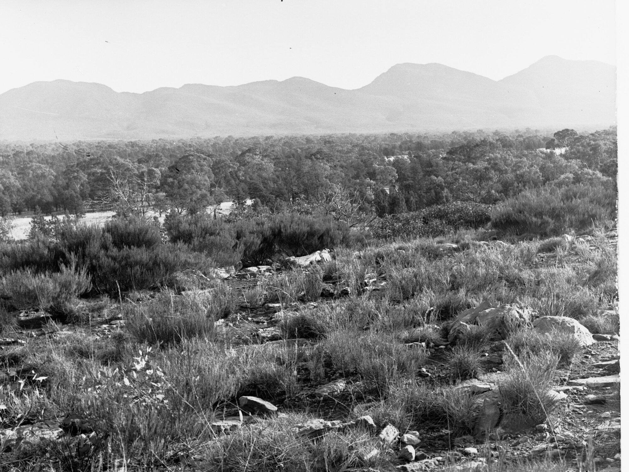 View in Wilpena Pound Flinders Ranges