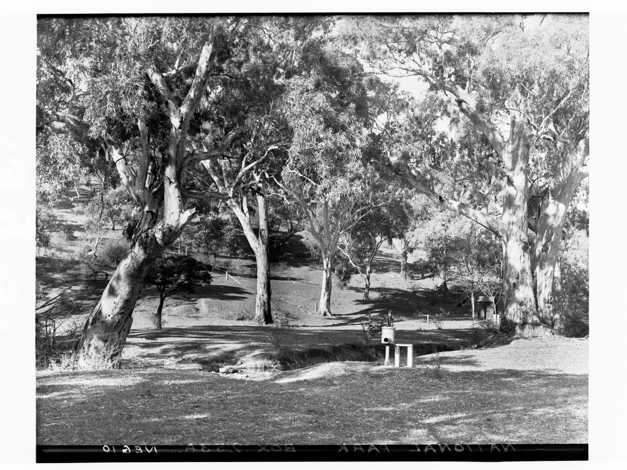 Belair National Park