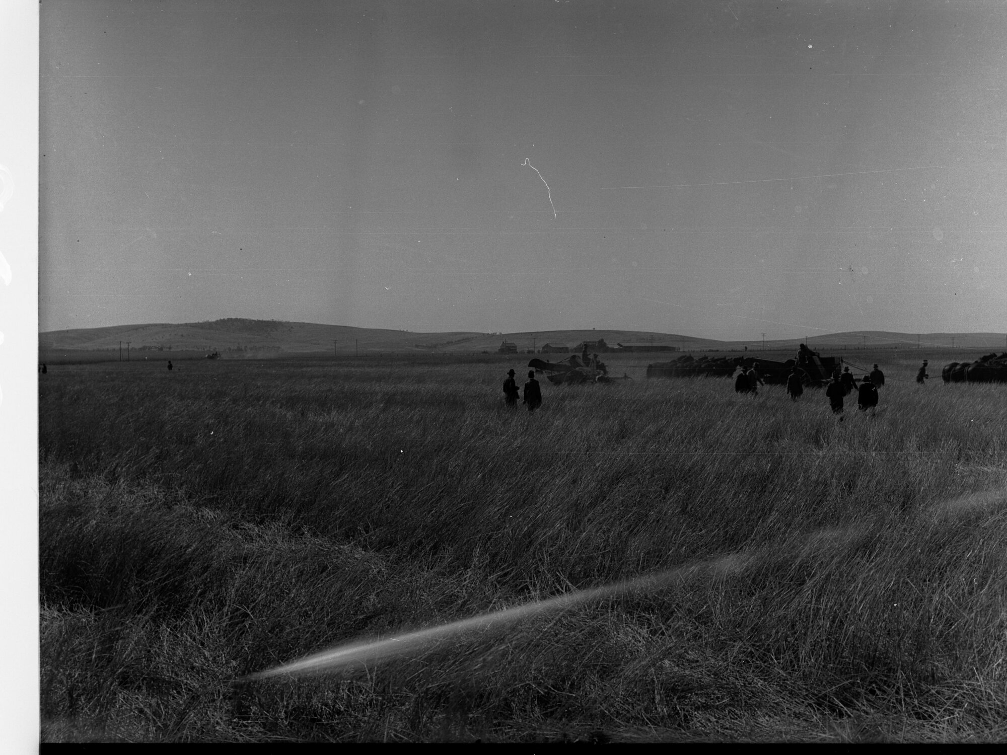 Lake View Field Trials Harvesters in a field
