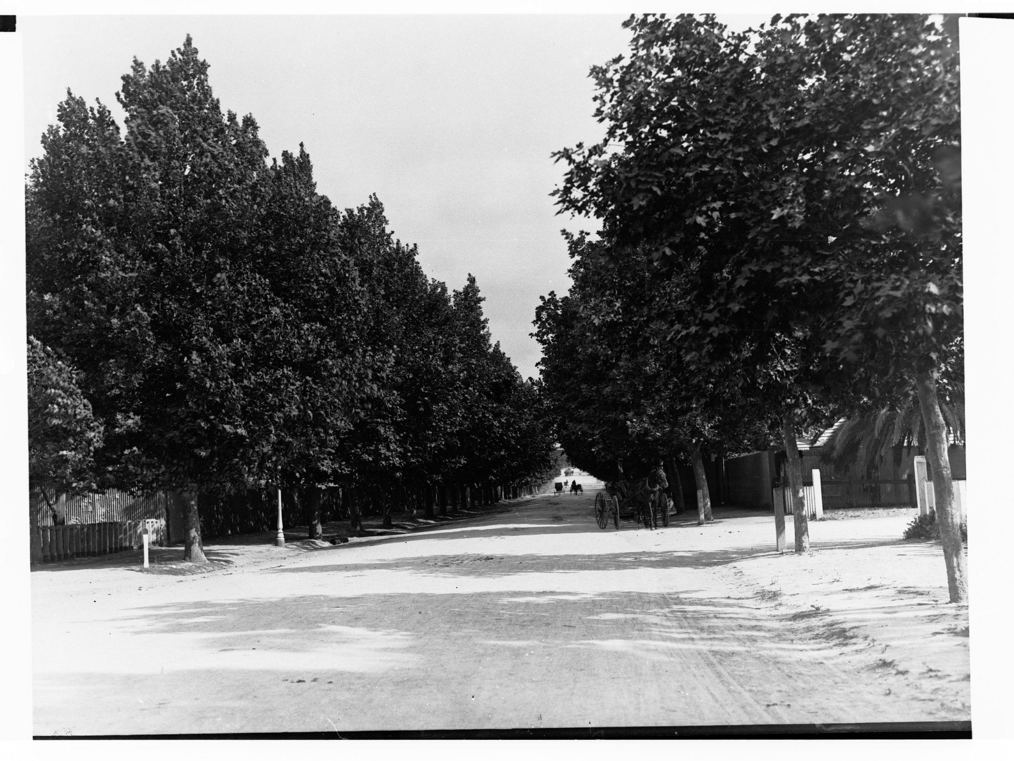 Frome Road Looking South