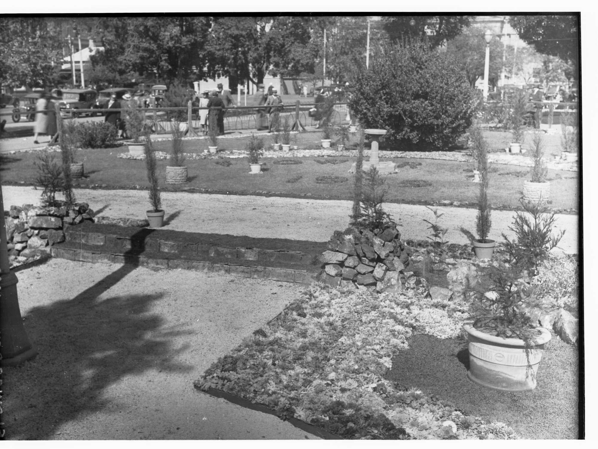 Flower Day Floral Display