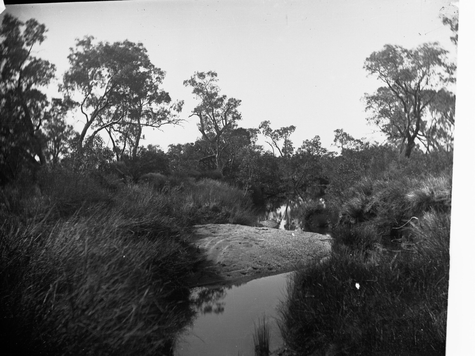 Water Course with Water Hole Parallel With Arckaringa Creek Elder Expedition