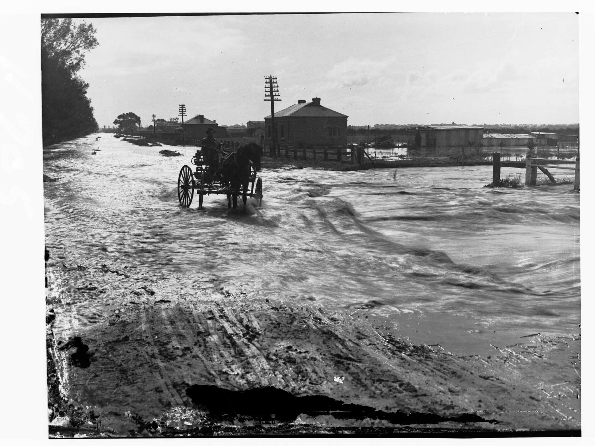 Man in horse drawn carriage riding through flooded street