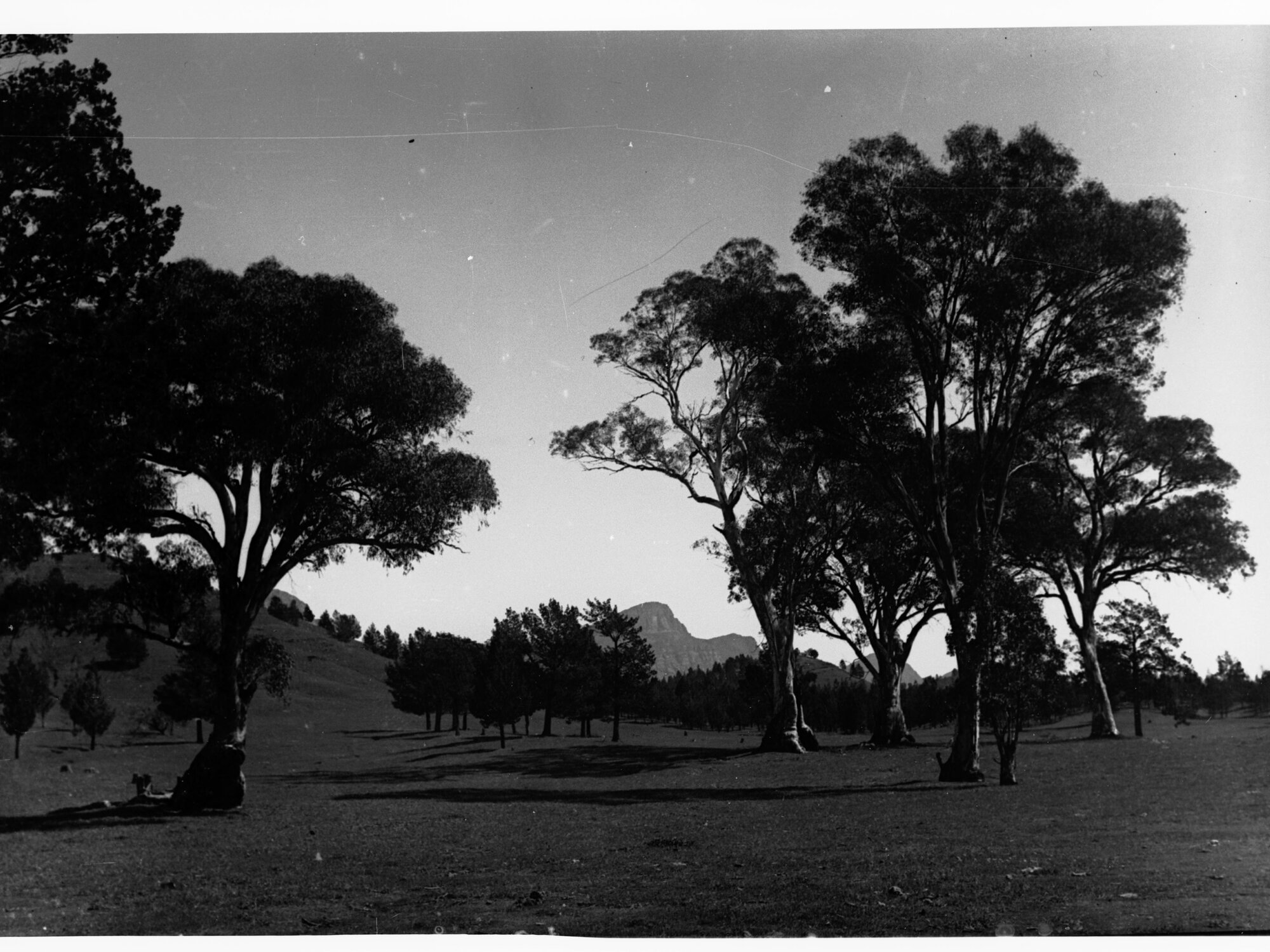 Rural Scene
