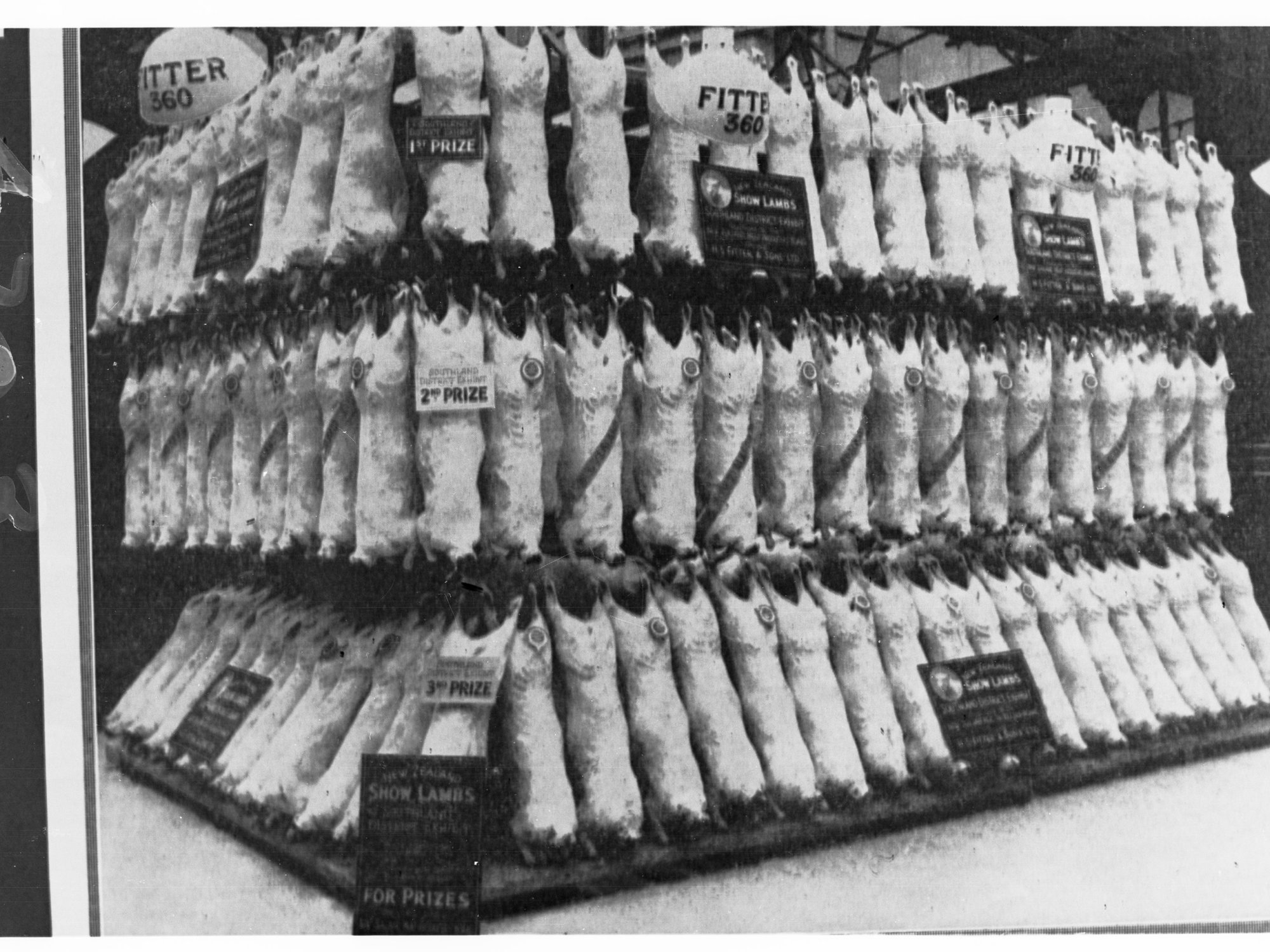 Carcasses of Meat in an Exhibition