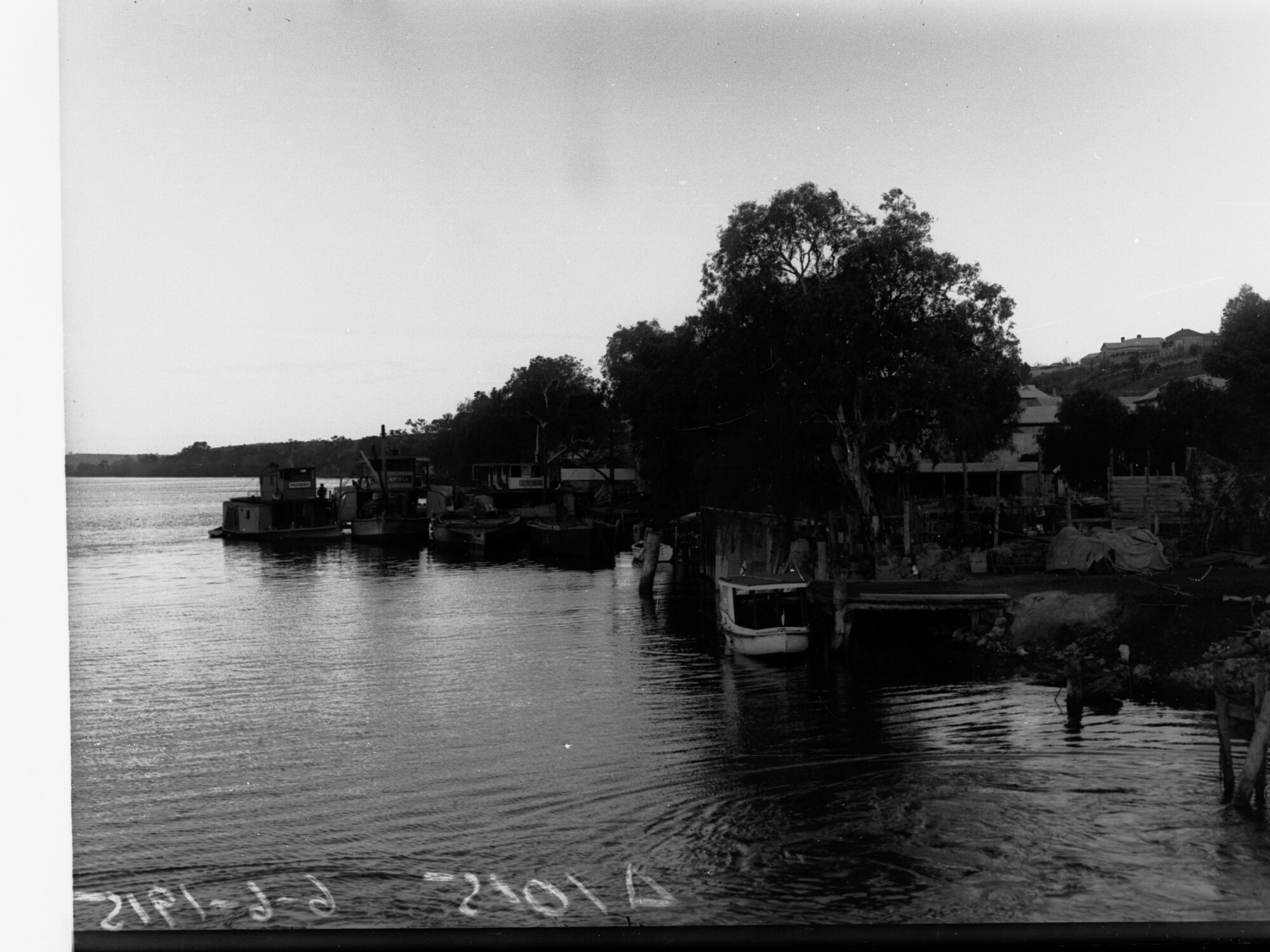 Boats docked on River Murray bank at Mannum