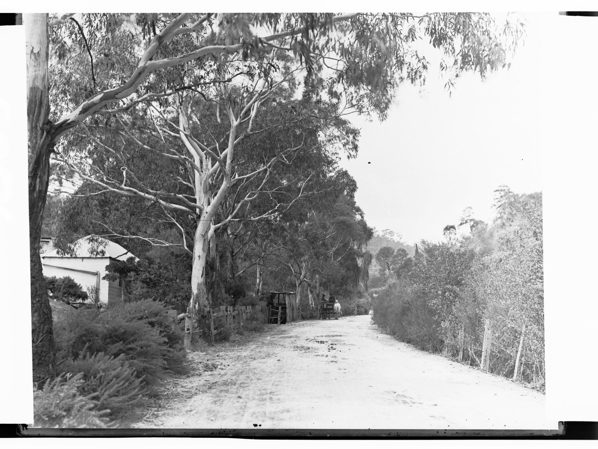 Norton Summit Road Showing House Amongst the Trees