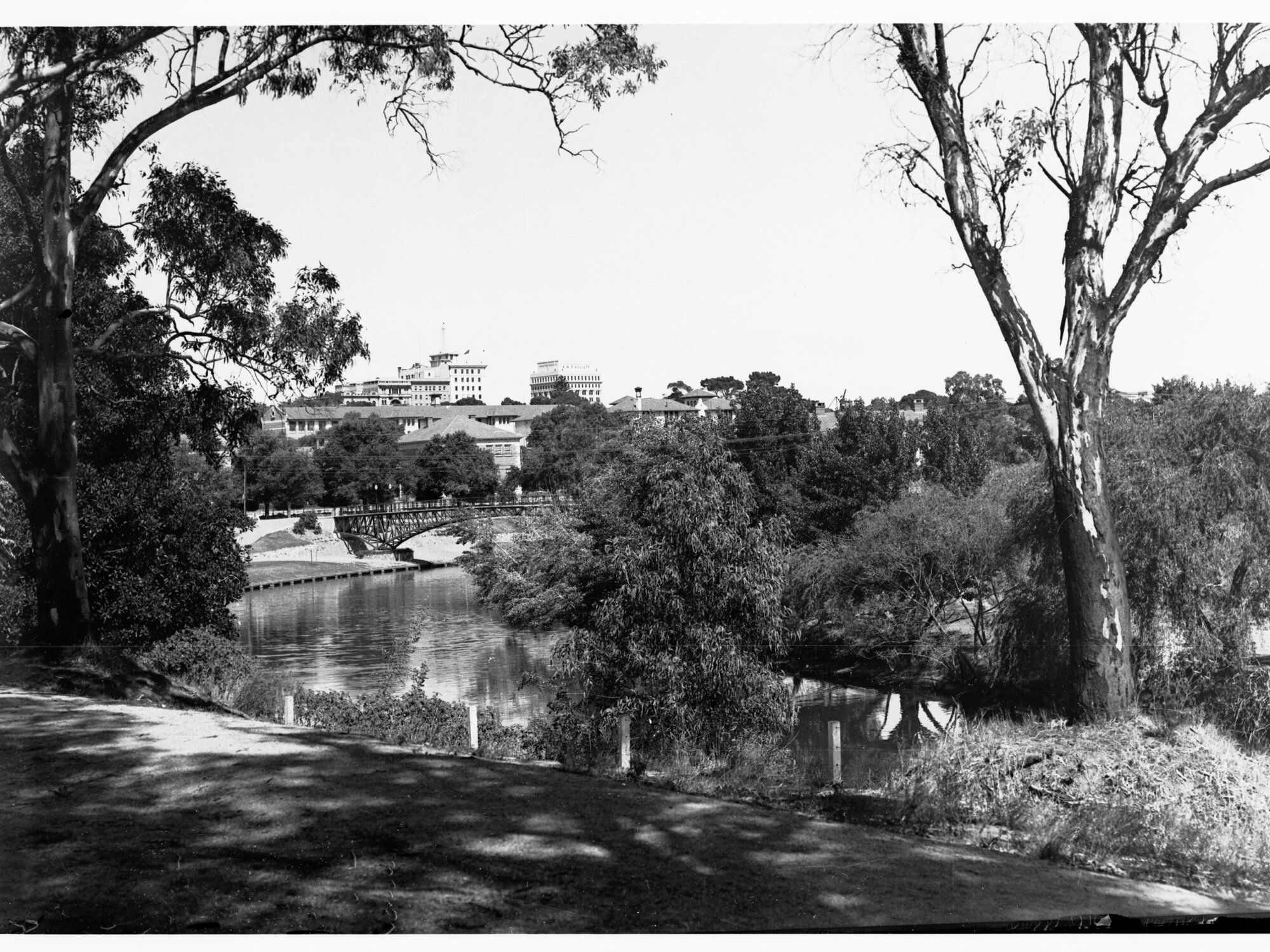 River Torrens - Adelaide in background (University footbridge at left)