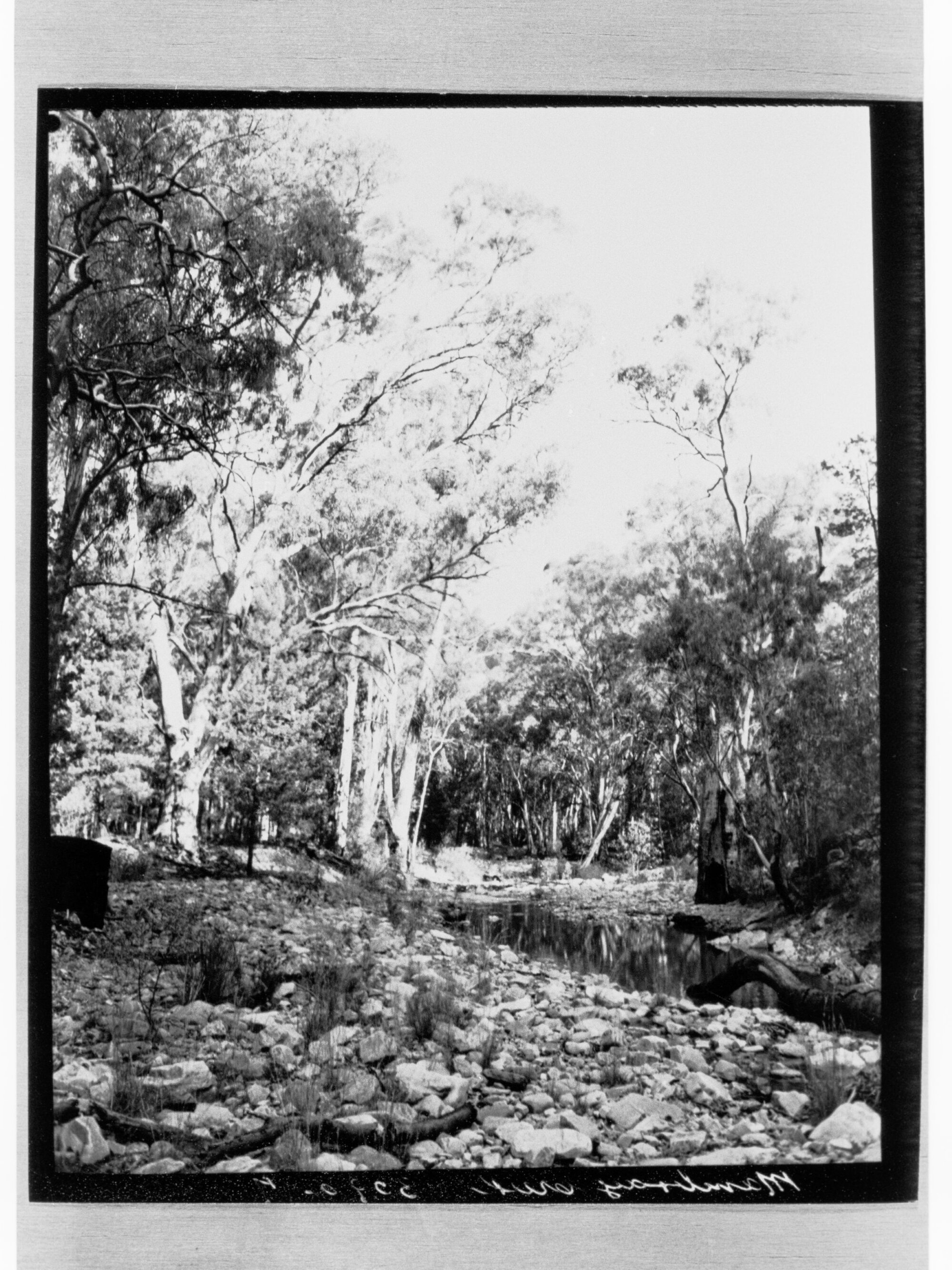 Mambray Creek