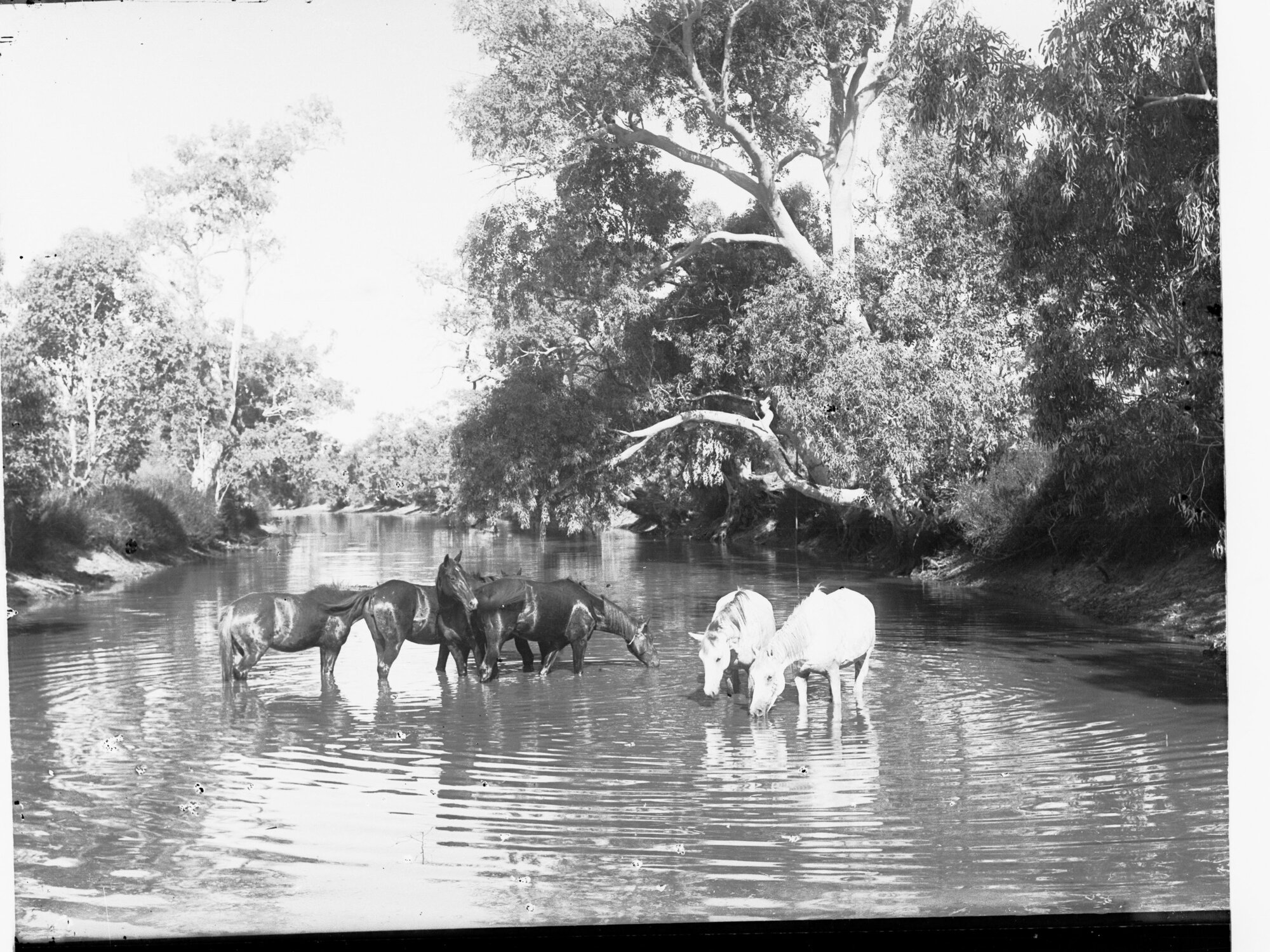 Allandale Near Oodnadatta