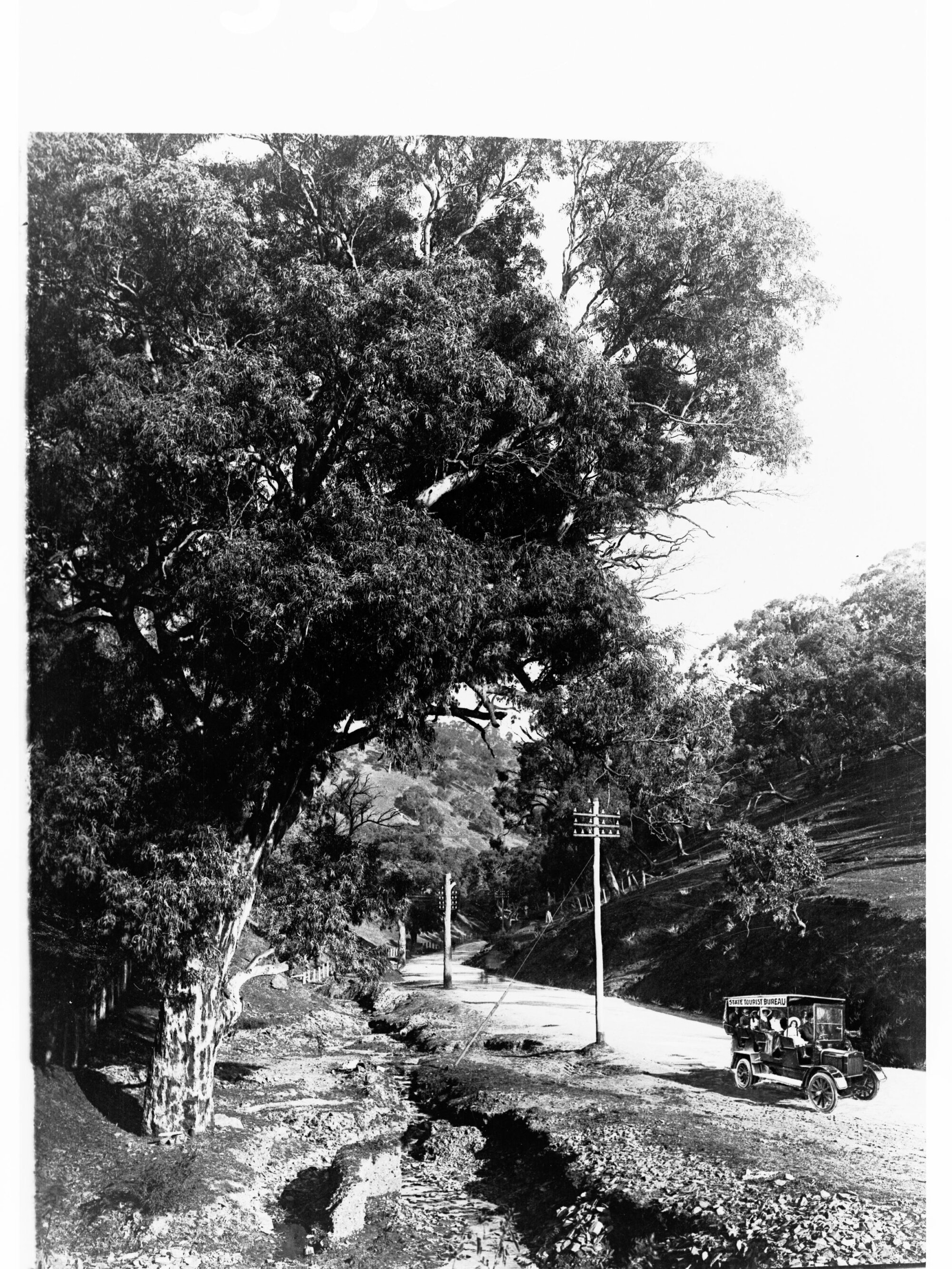 Mount Barker Road Showing State Tourist Bureau Authority Charabanc