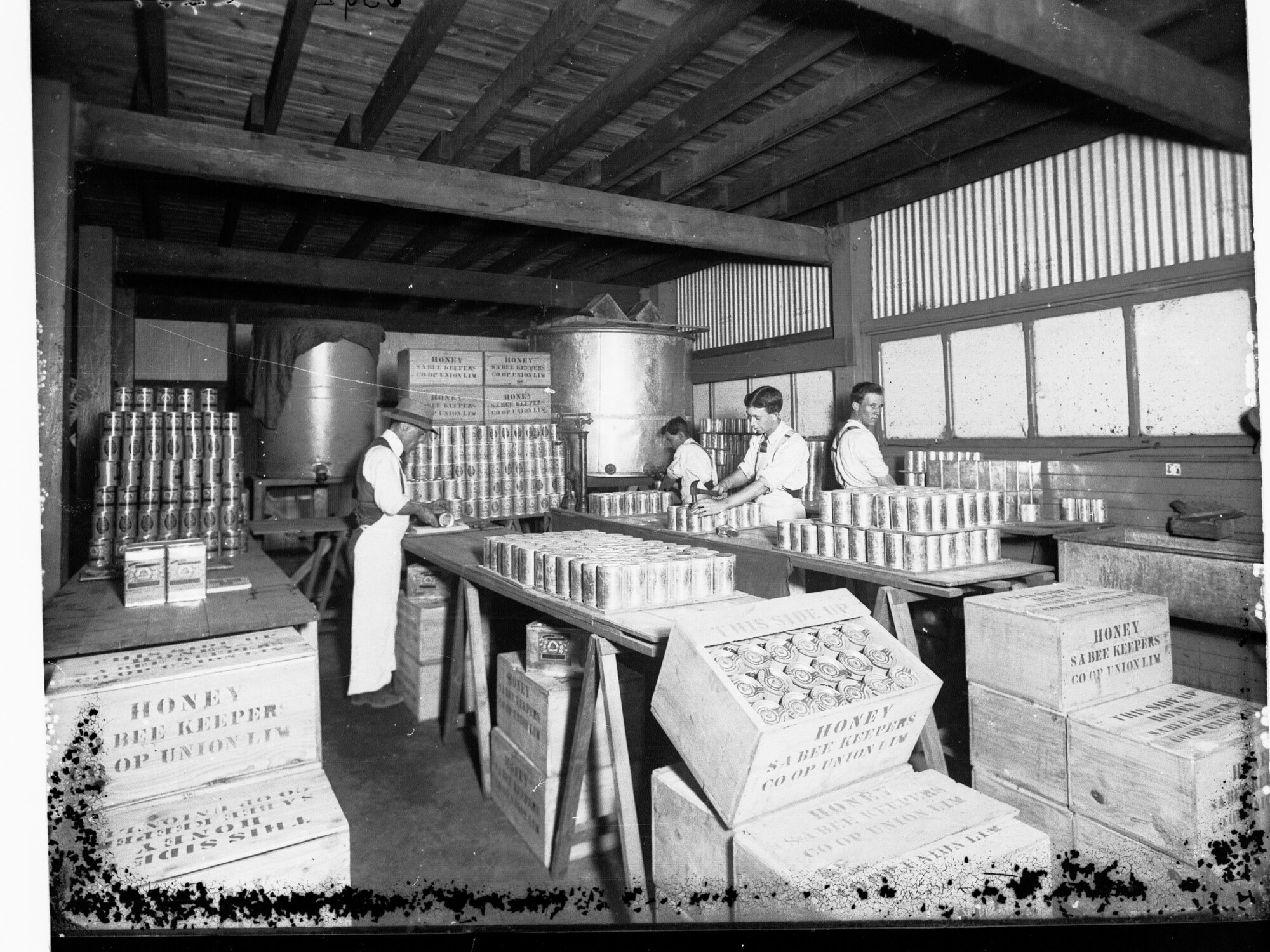 Canning Honey at Government Export Depot Port Adelaide