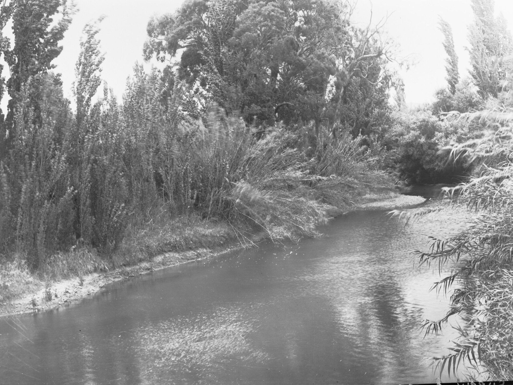 River Torrens