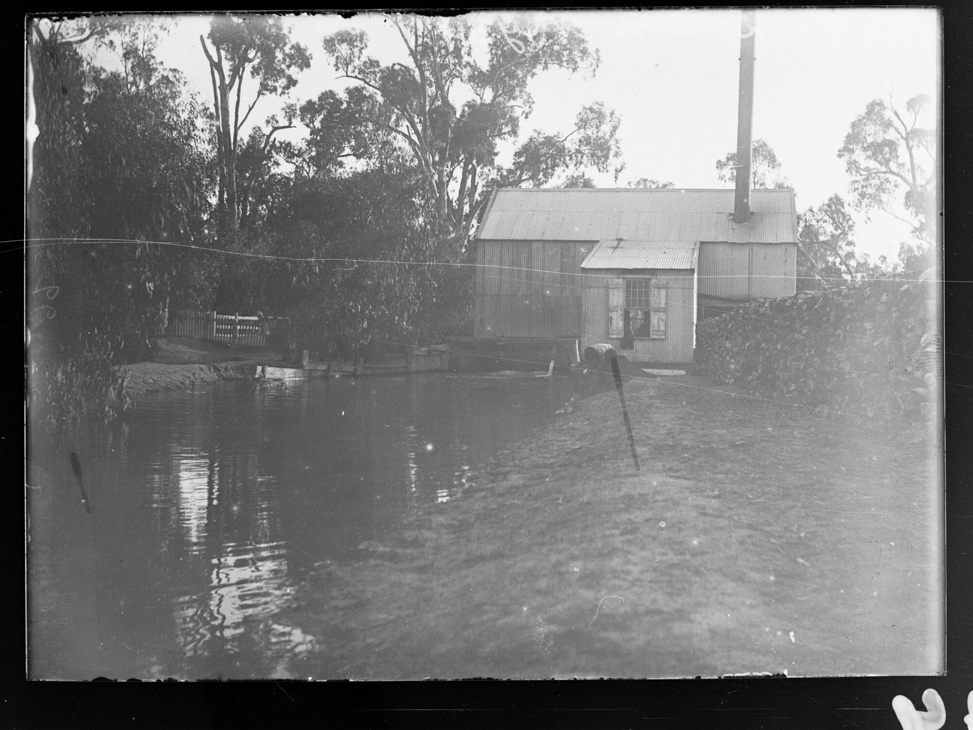 Irrigation works on the River Murray
