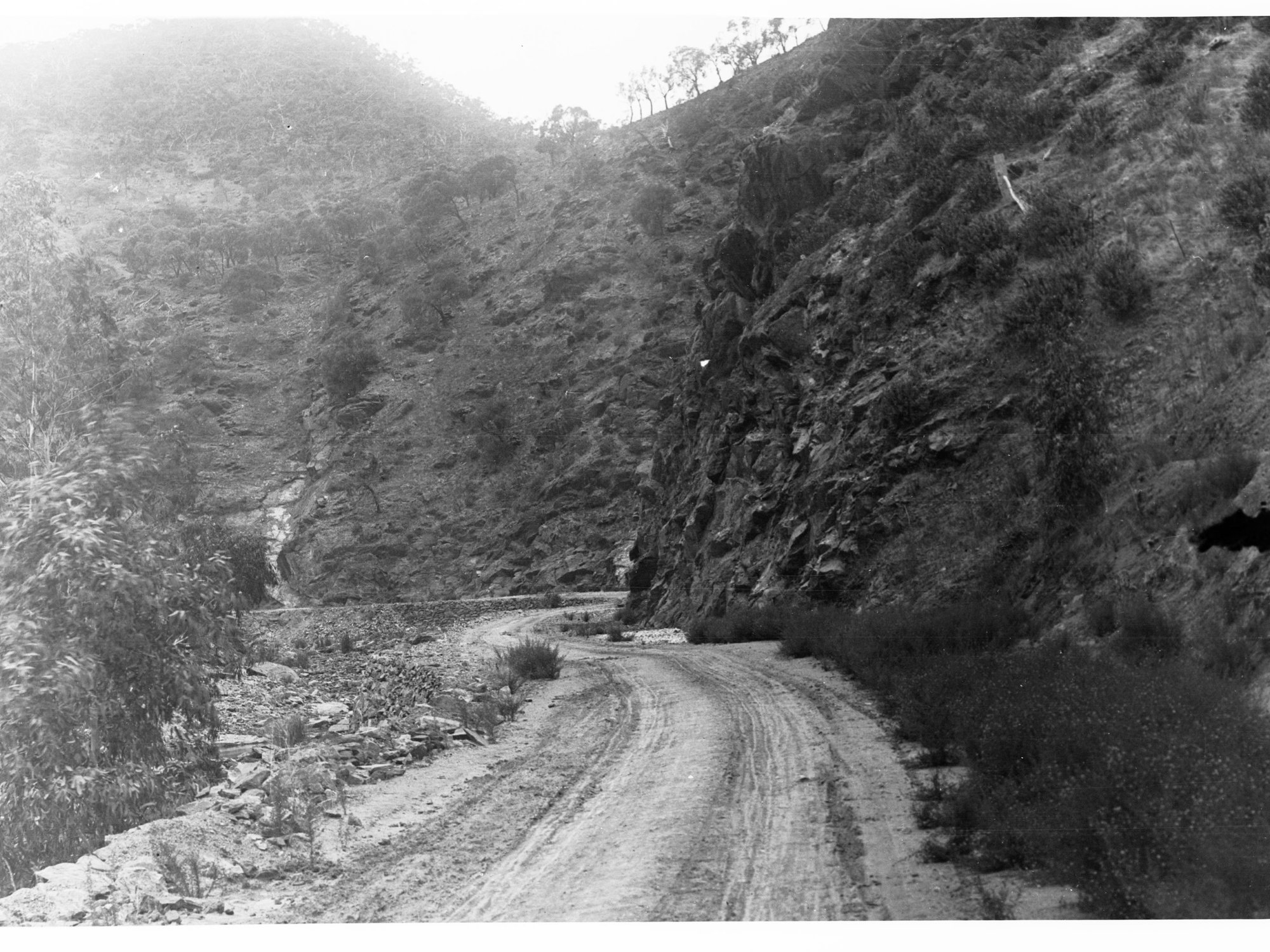 Torrens Gorge Road