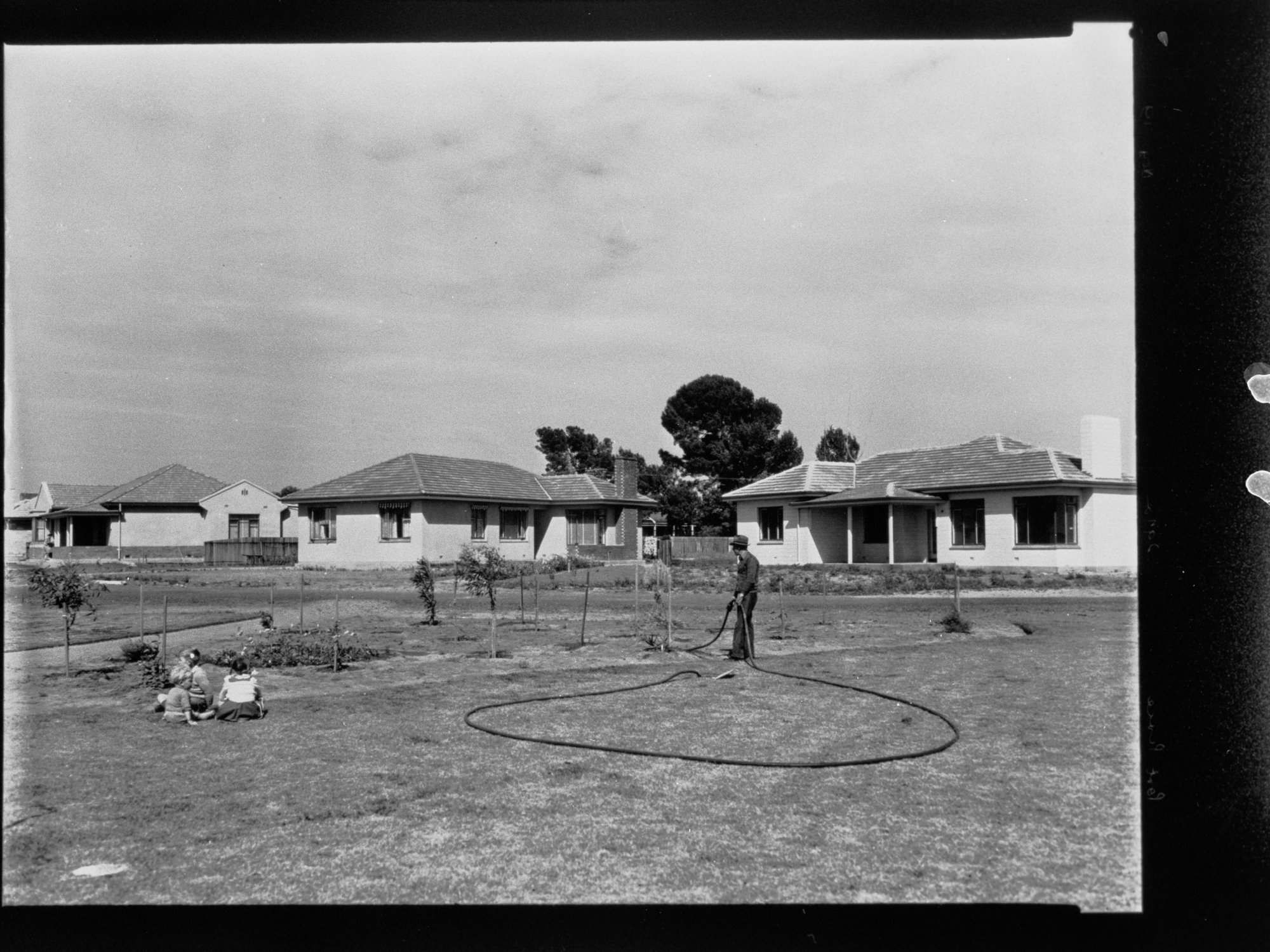 Port Pirie - man watering plants on reserve