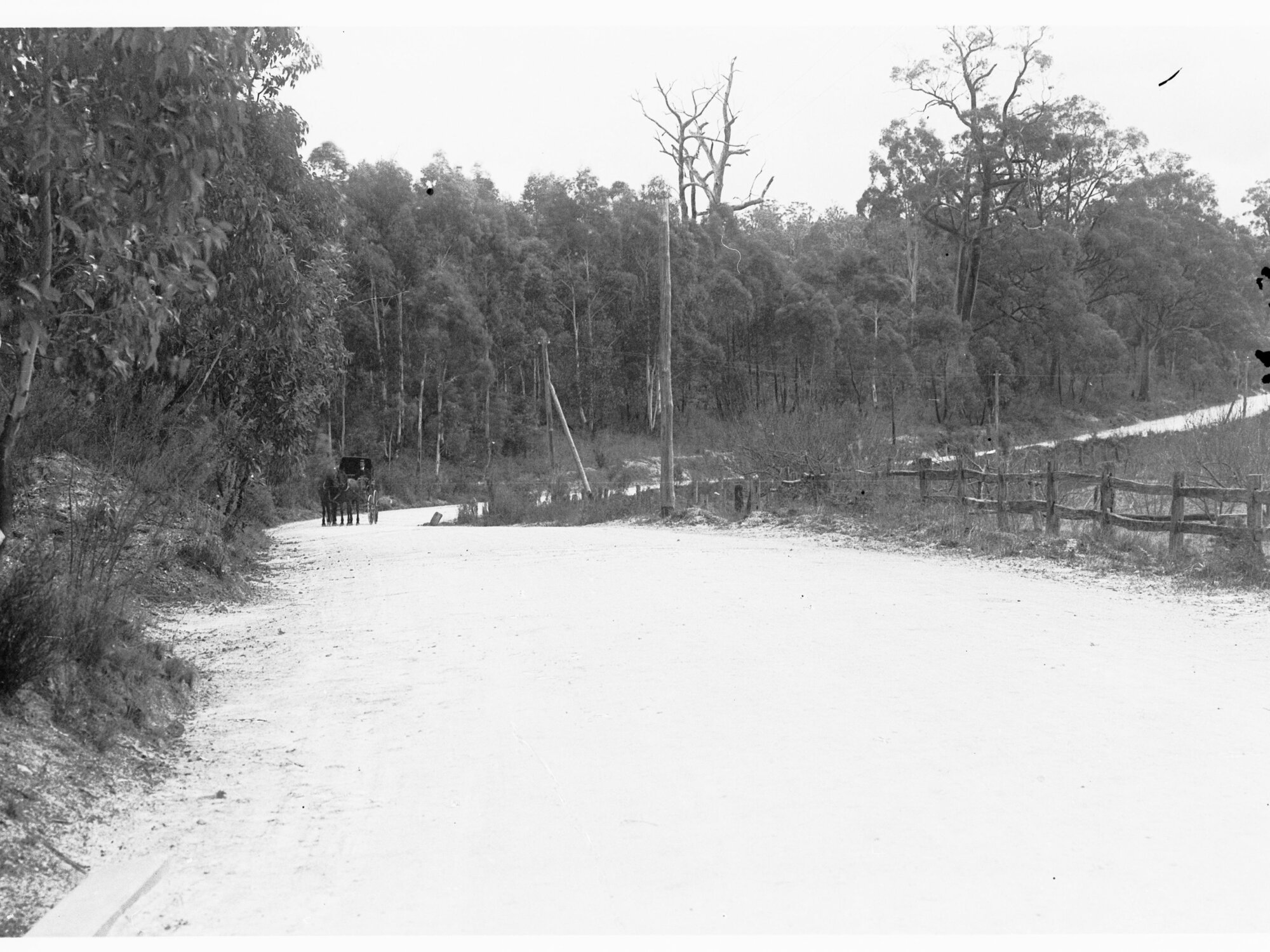 Road at Forest Range - shows horse and cart