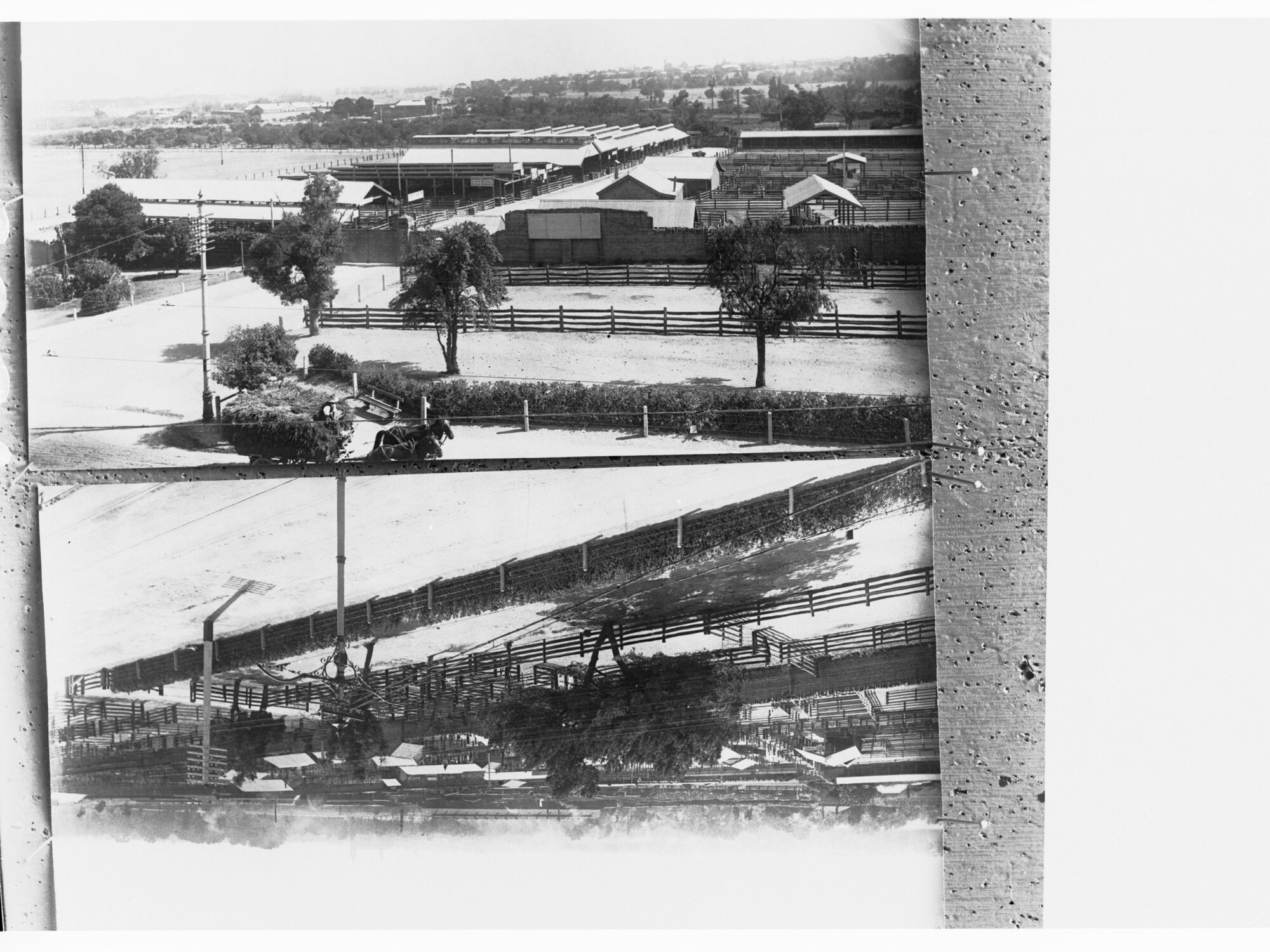 Old sale yards on North Terrace, Adelaide