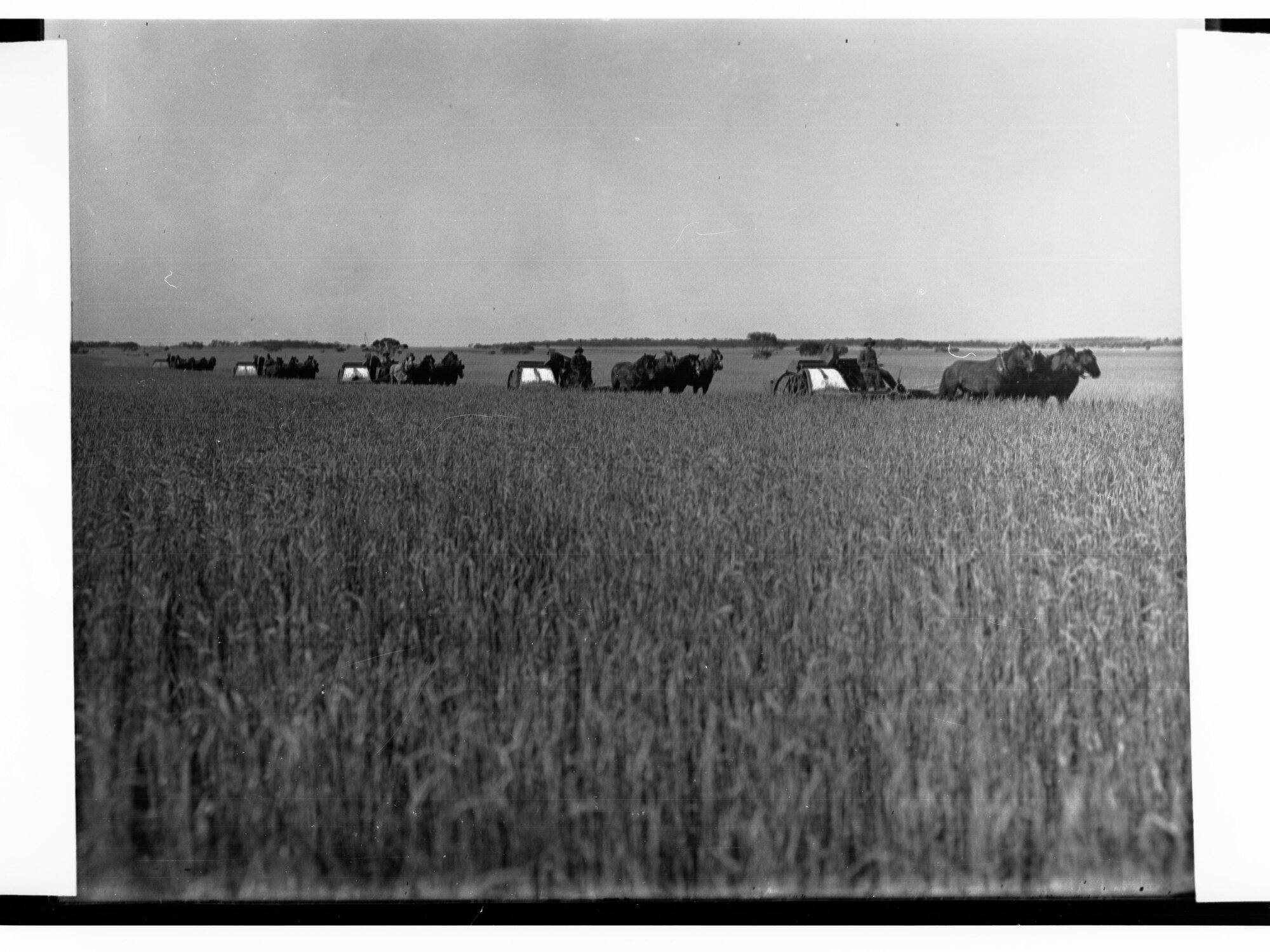 Farm on South Road Near Adelaide