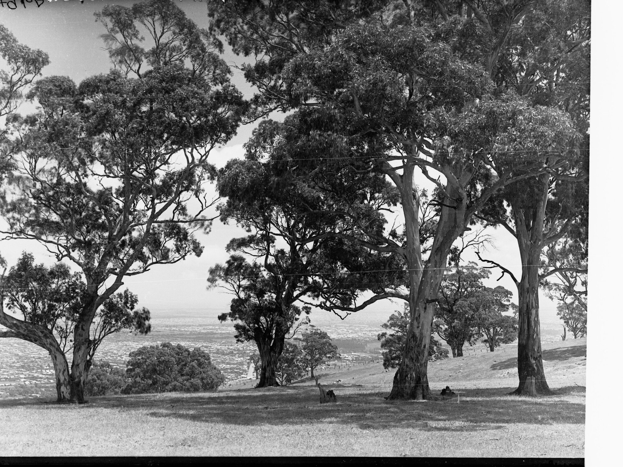 Mount Osmond