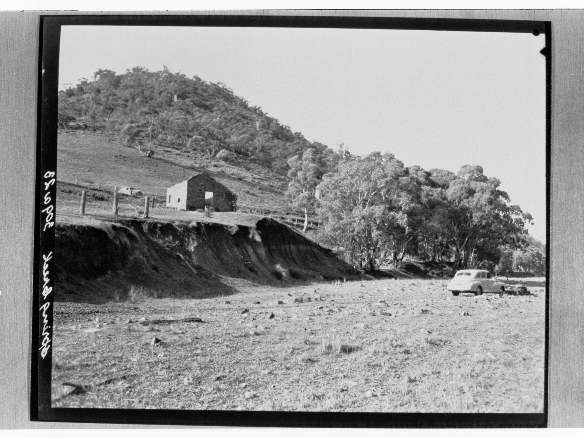 Spring Creek