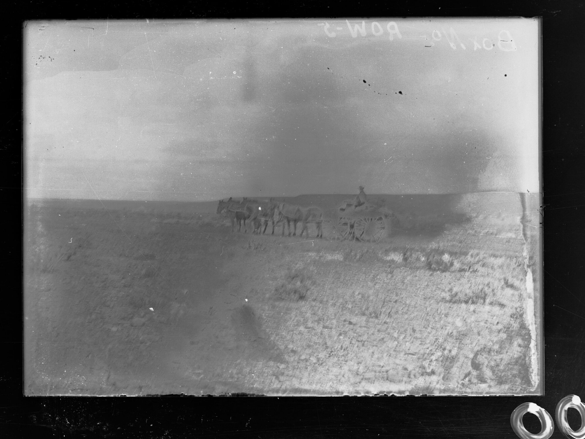 View of two men driving a wagon pulled by horses, Nullarbor Plain