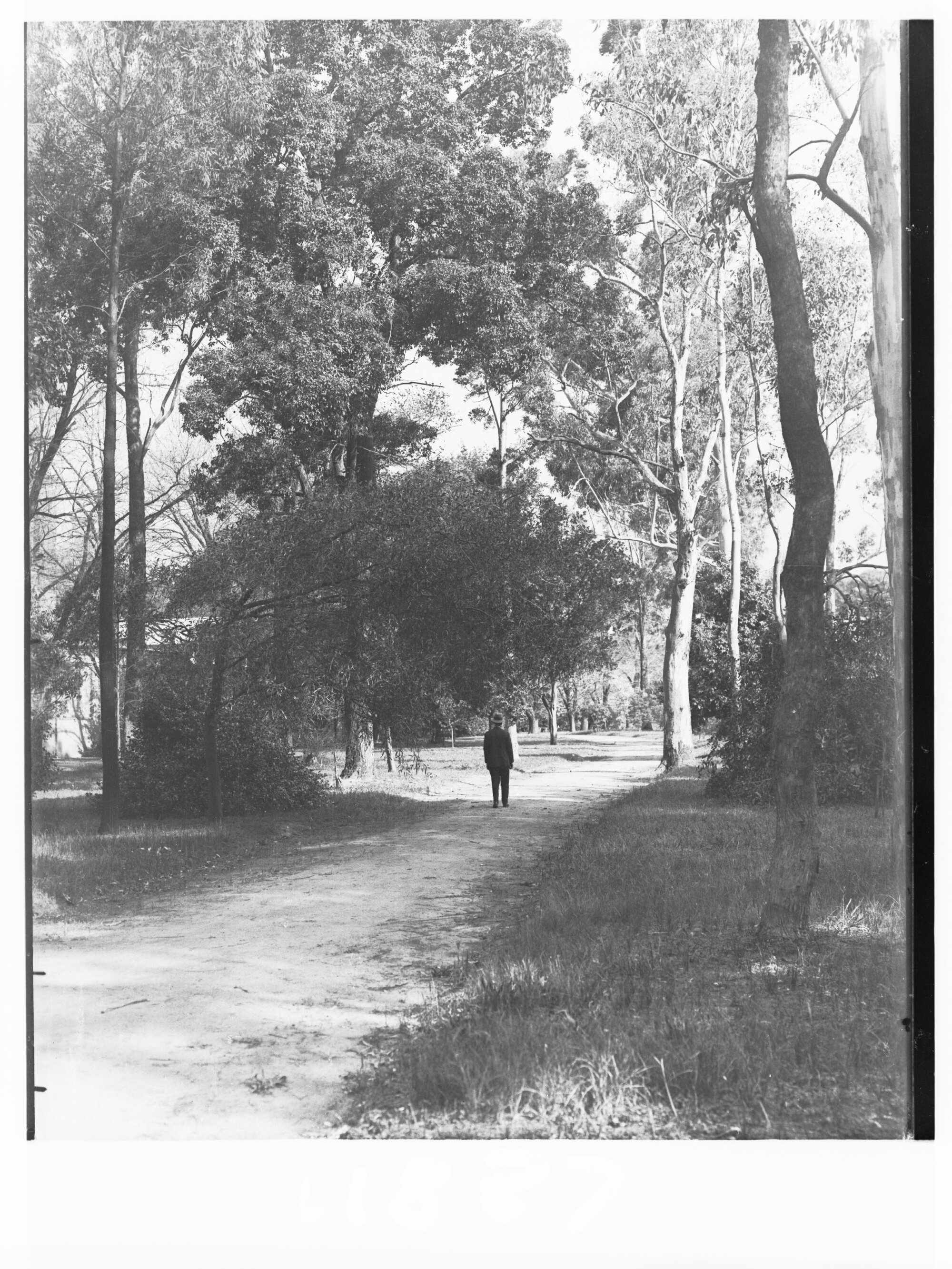 Man on pathway, rural scene